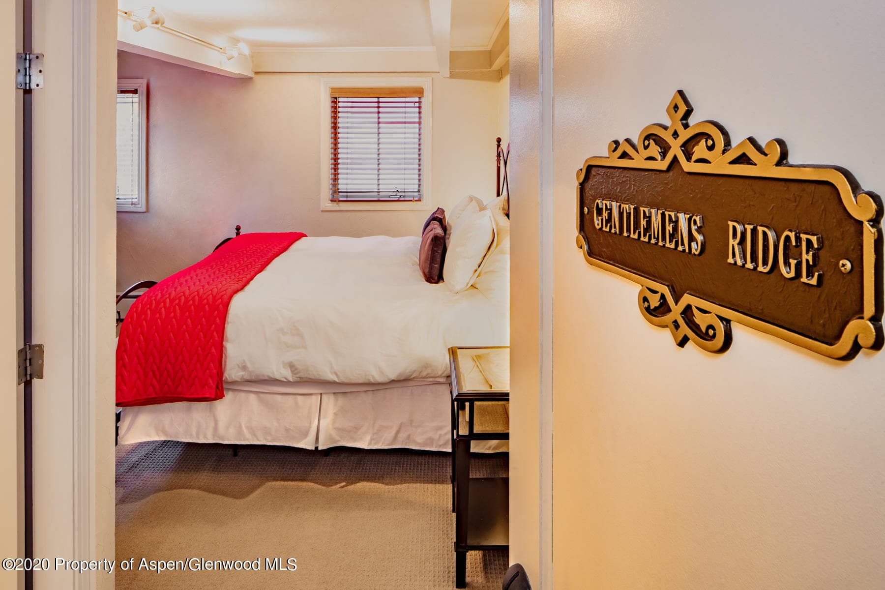 118 E Cooper Avenue, Aspen, CO 81611 - Photo 22