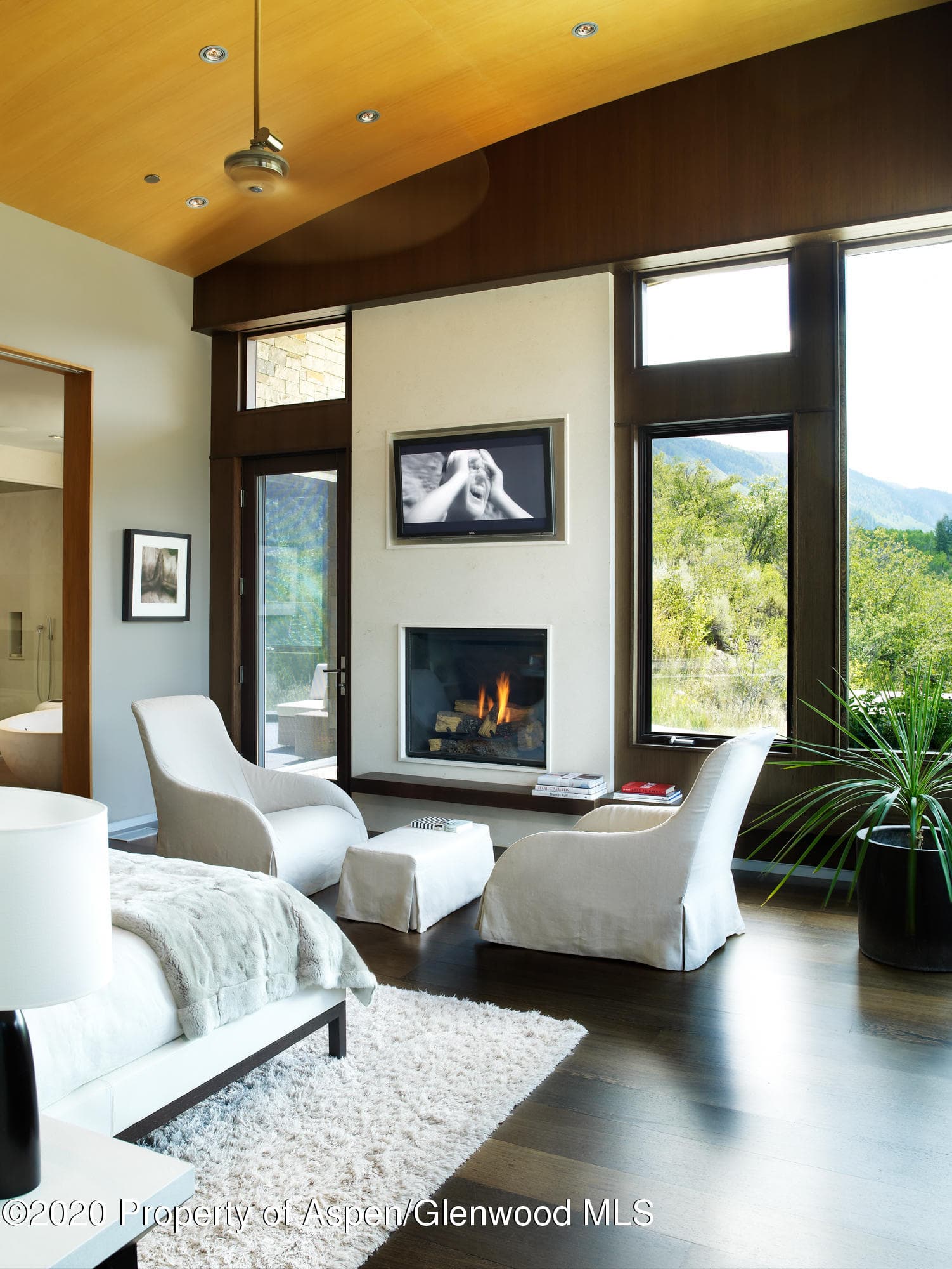 210 Sesame Street, Aspen, CO 81611 - Photo 12