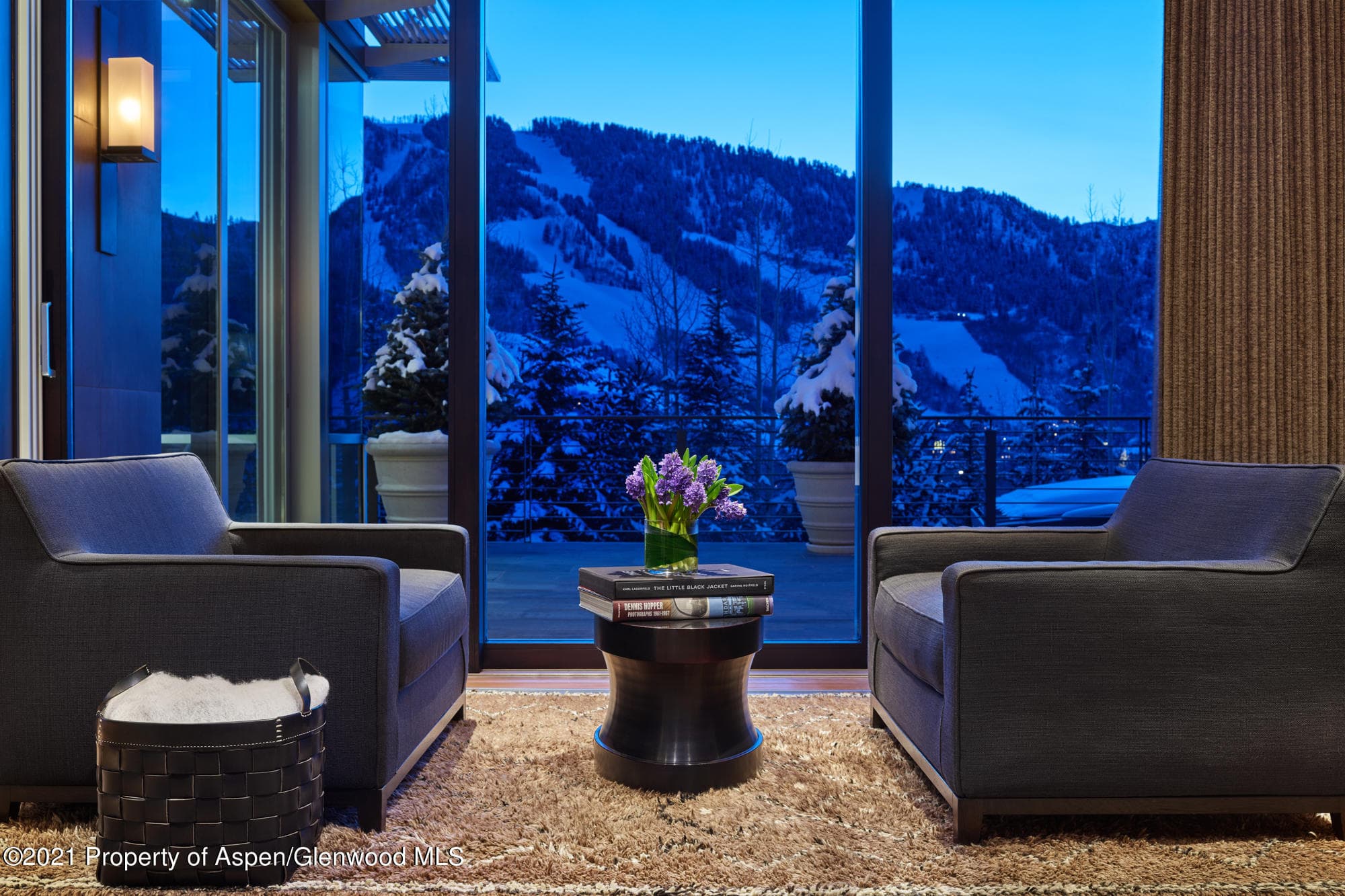 210 Sesame Street, Aspen, CO 81611 - Photo 11