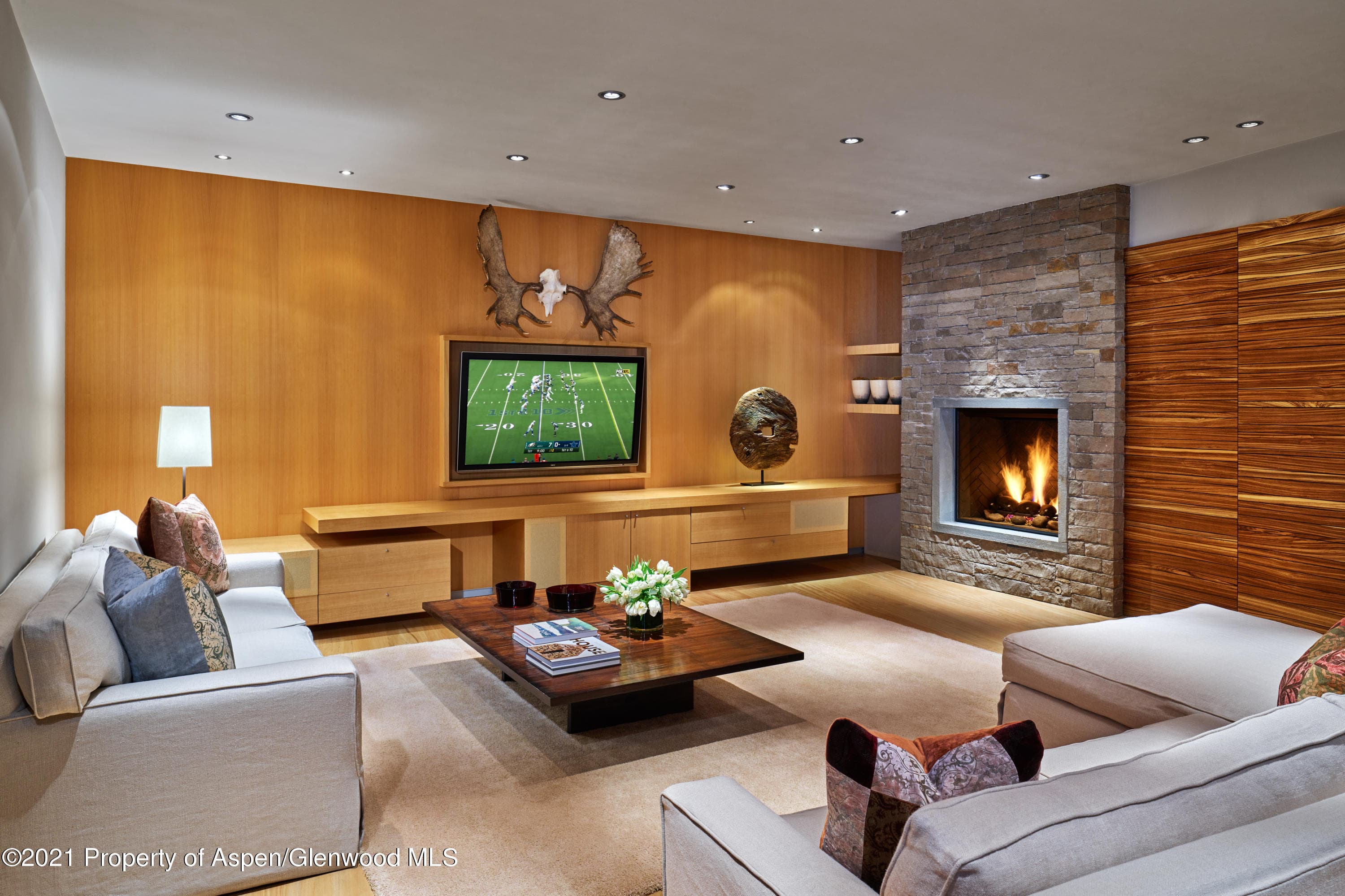 210 Sesame Street, Aspen, CO 81611 - Photo 23
