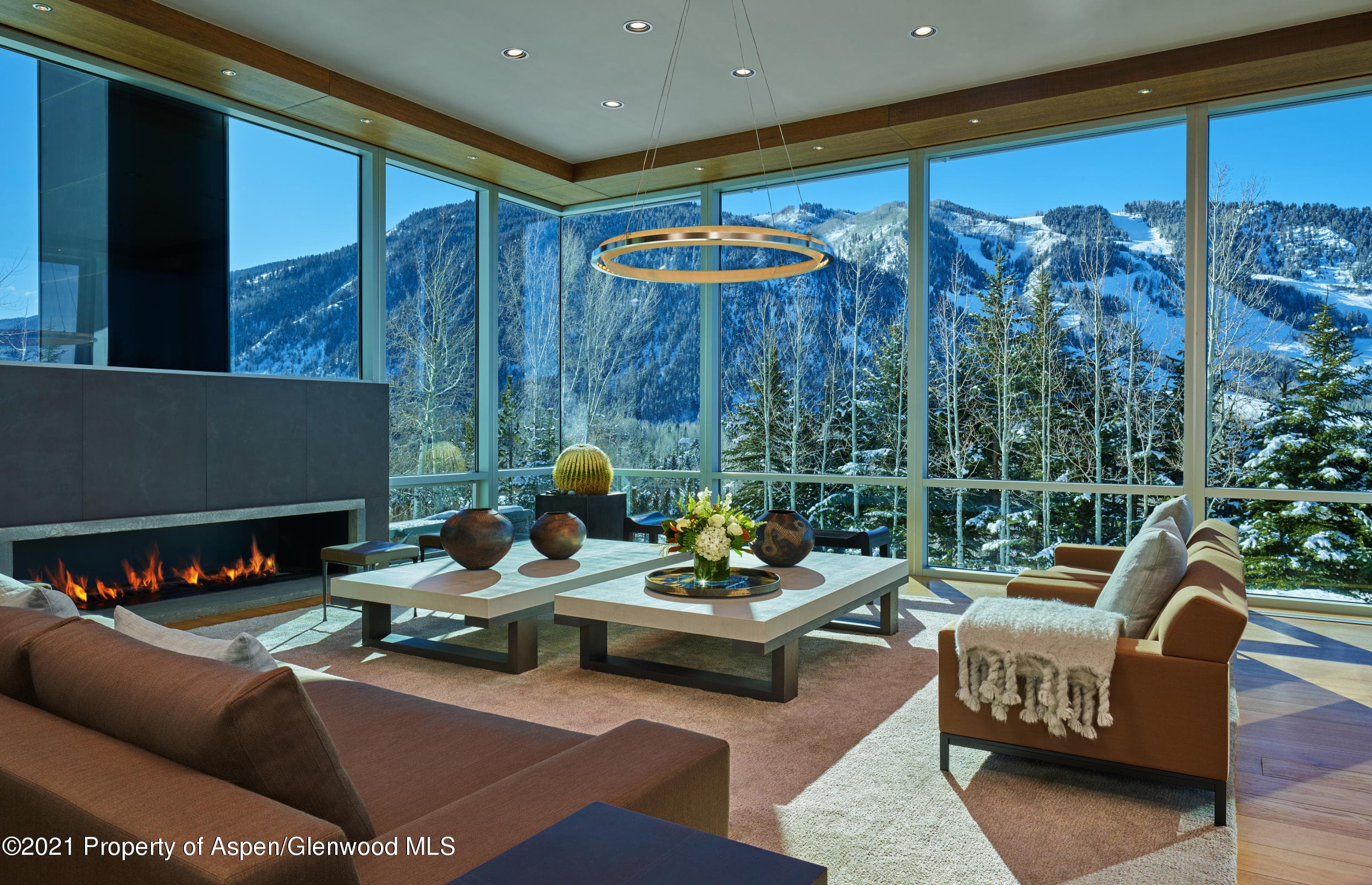 210 Sesame Street, Aspen, CO 81611 - Photo 4