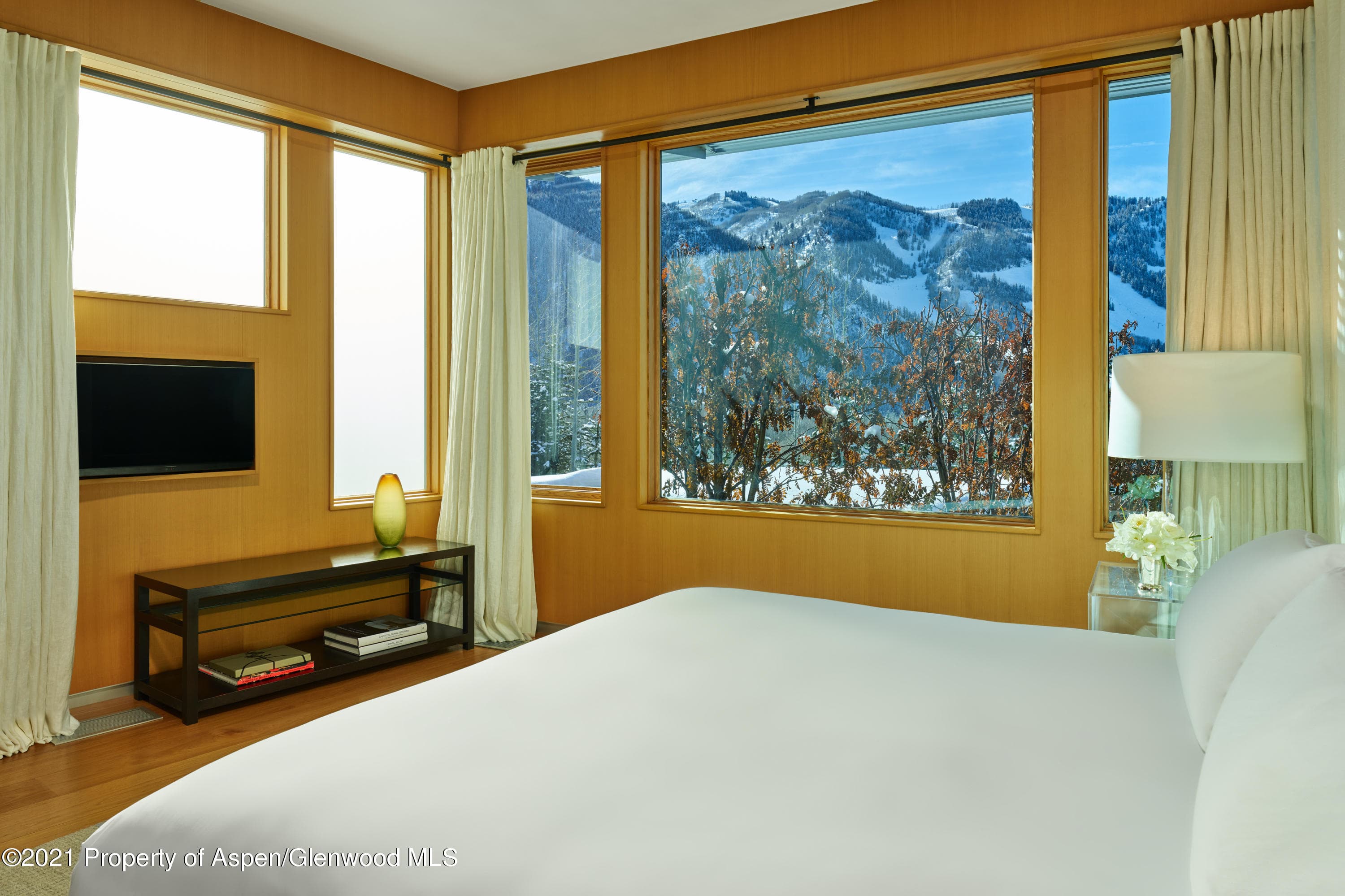 210 Sesame Street, Aspen, CO 81611 - Photo 15