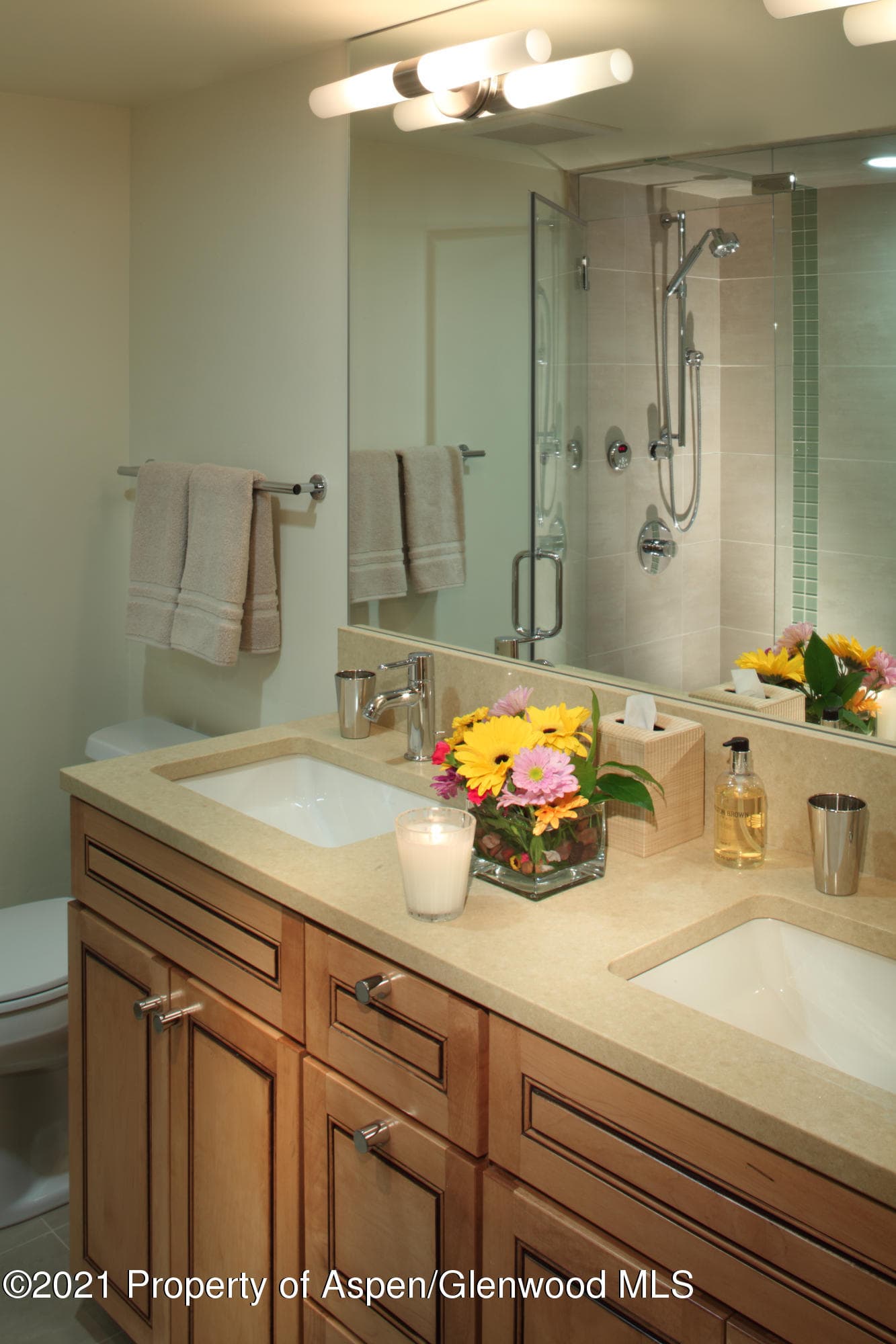 124 W Hyman Avenue 2c, Aspen, CO 81611 - Photo 11