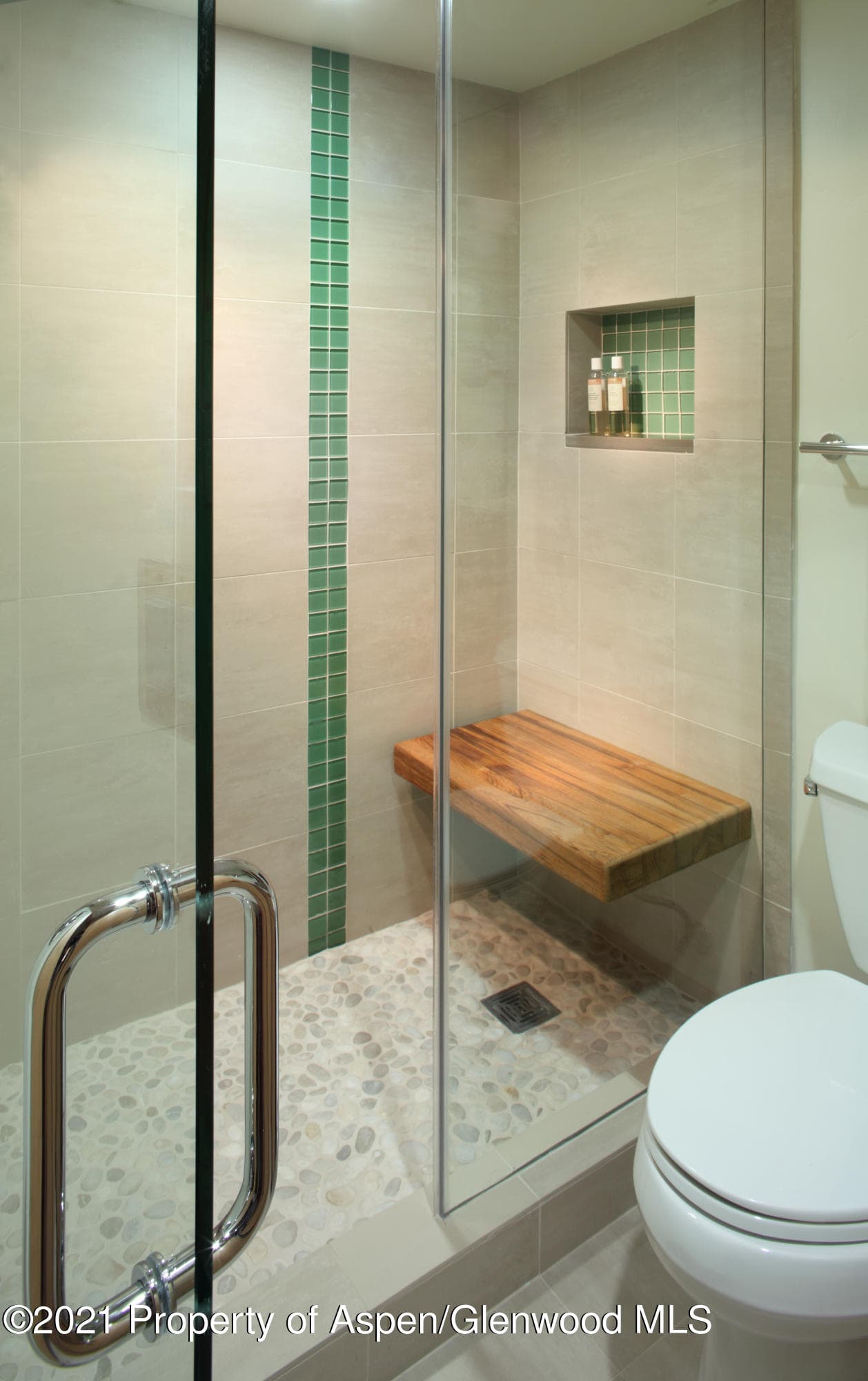 124 W Hyman Avenue 2c, Aspen, CO 81611 - Photo 12
