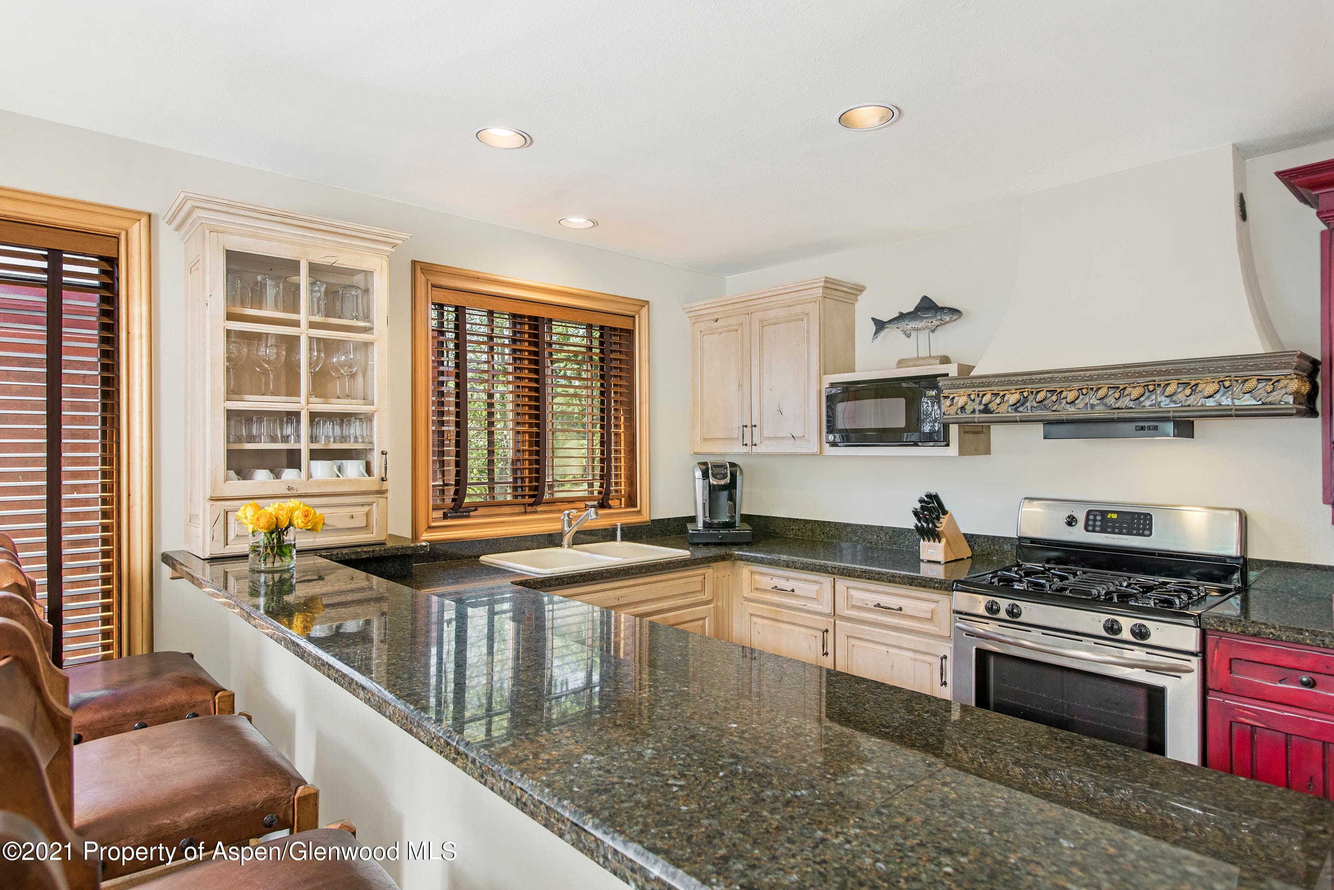 715 E Hopkins Avenue, Aspen, CO 81611 - Photo 4