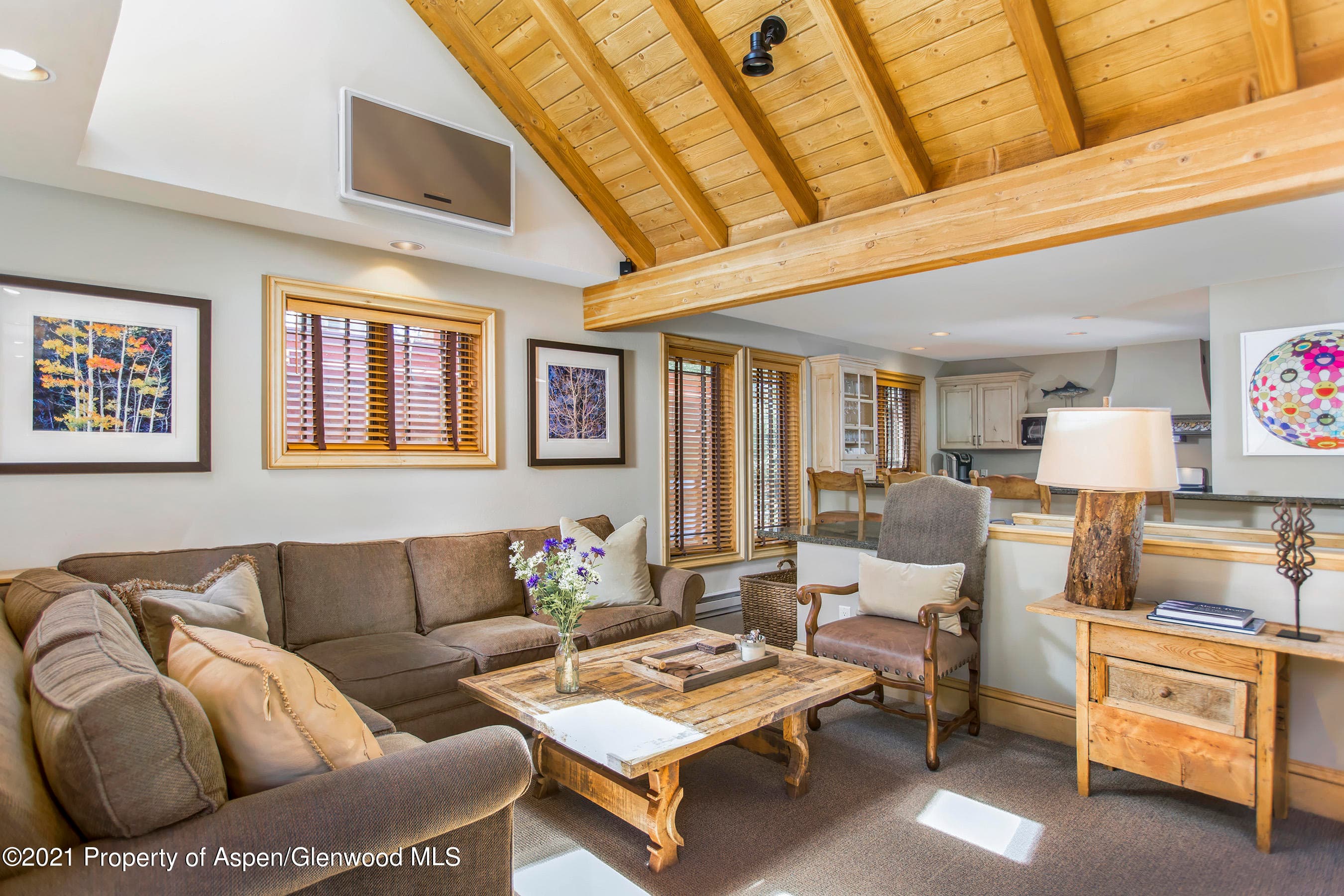 715 E Hopkins Avenue, Aspen, CO 81611 - Photo 7