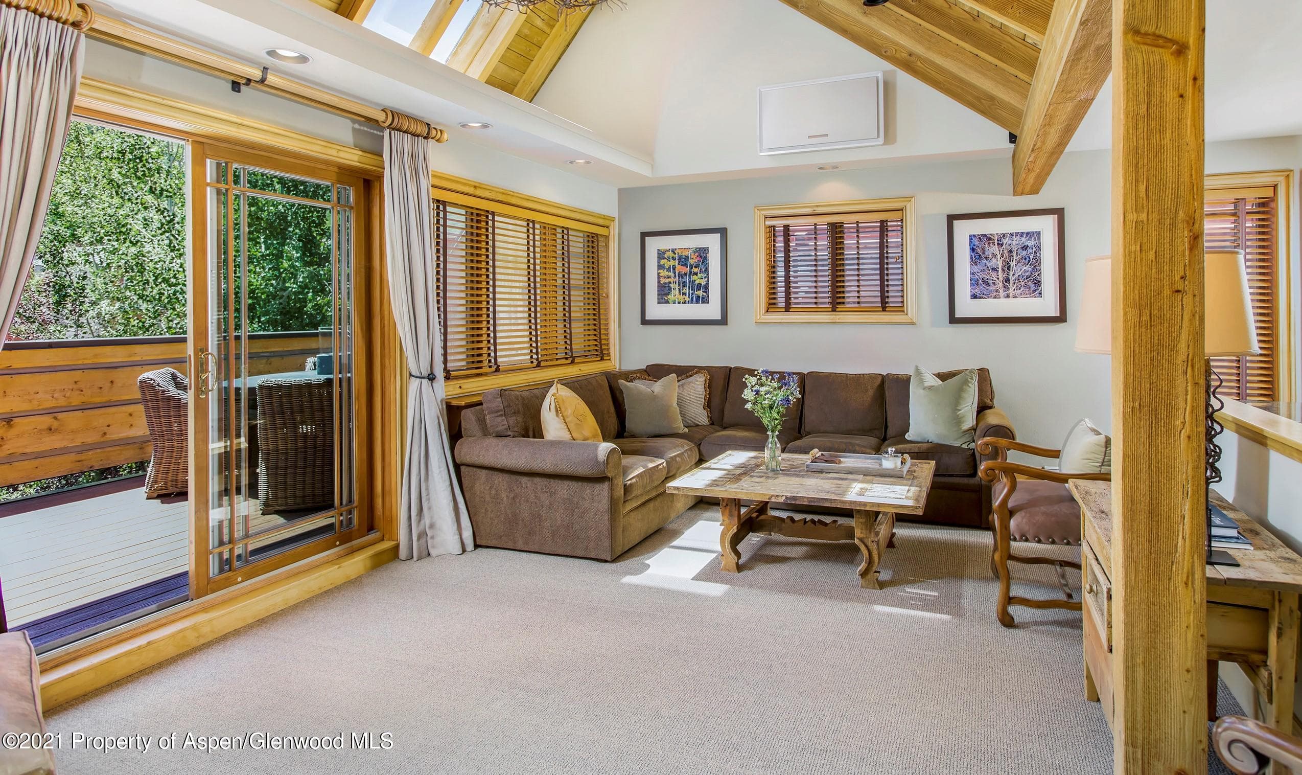 715 E Hopkins Avenue, Aspen, CO 81611 - Photo 8