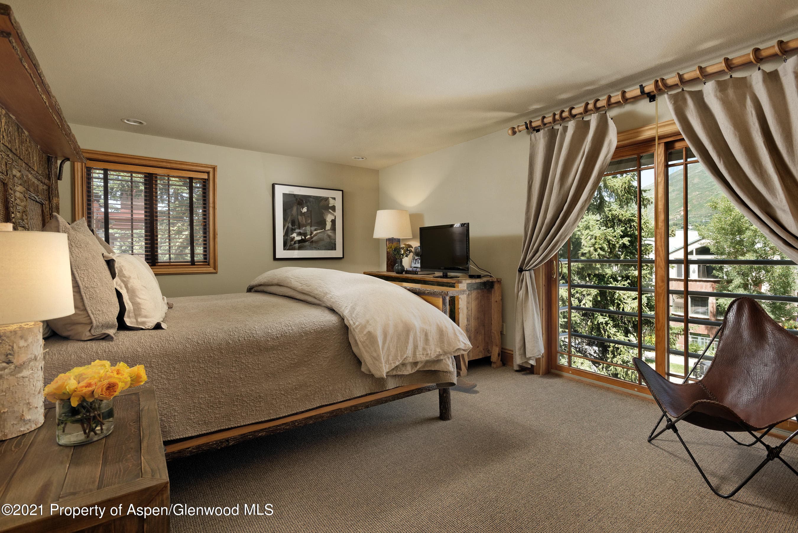 715 E Hopkins Avenue, Aspen, CO 81611 - Photo 13