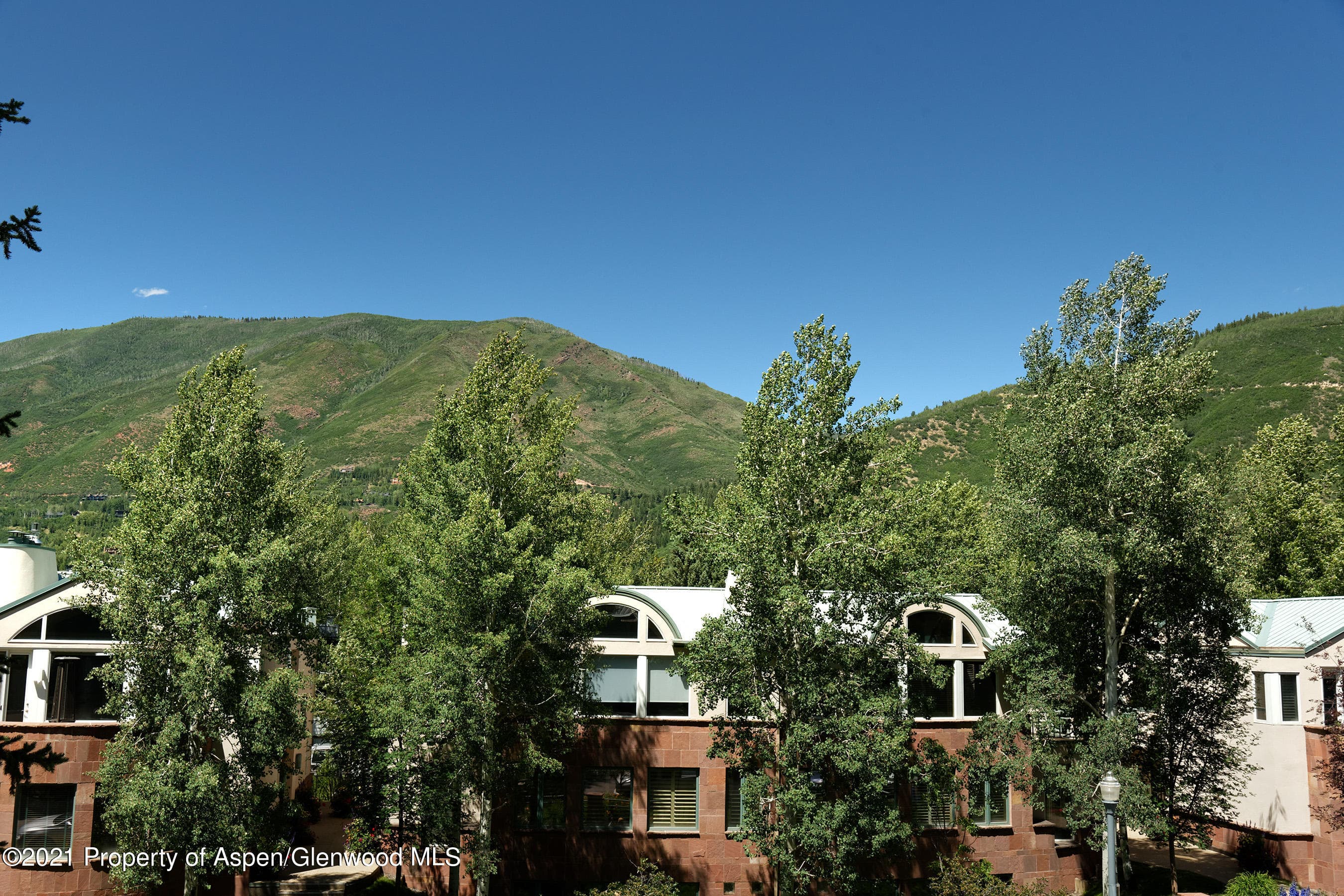 715 E Hopkins Avenue, Aspen, CO 81611 - Photo 25