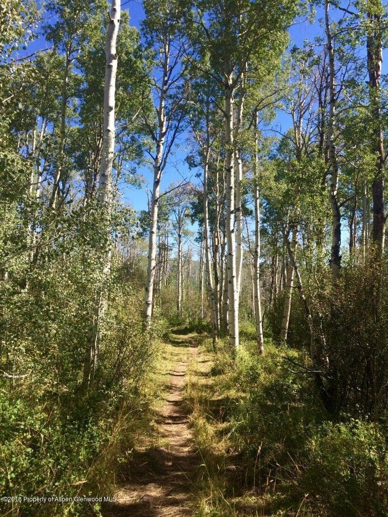 860 County 121 Road, Carbondale, CO 81623 - Photo 8