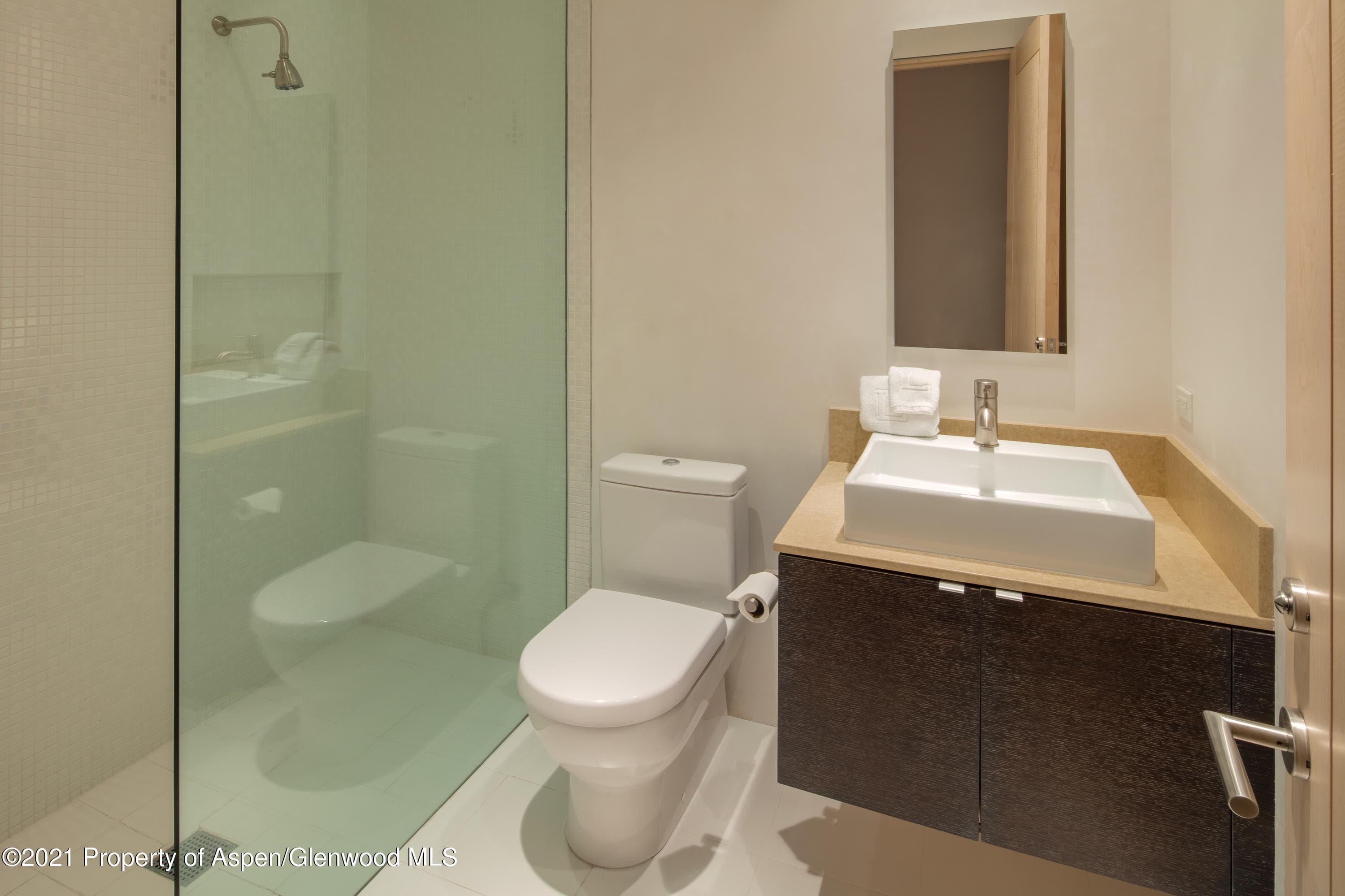 20 Maroon Court, Aspen, CO 81611 - Photo 13