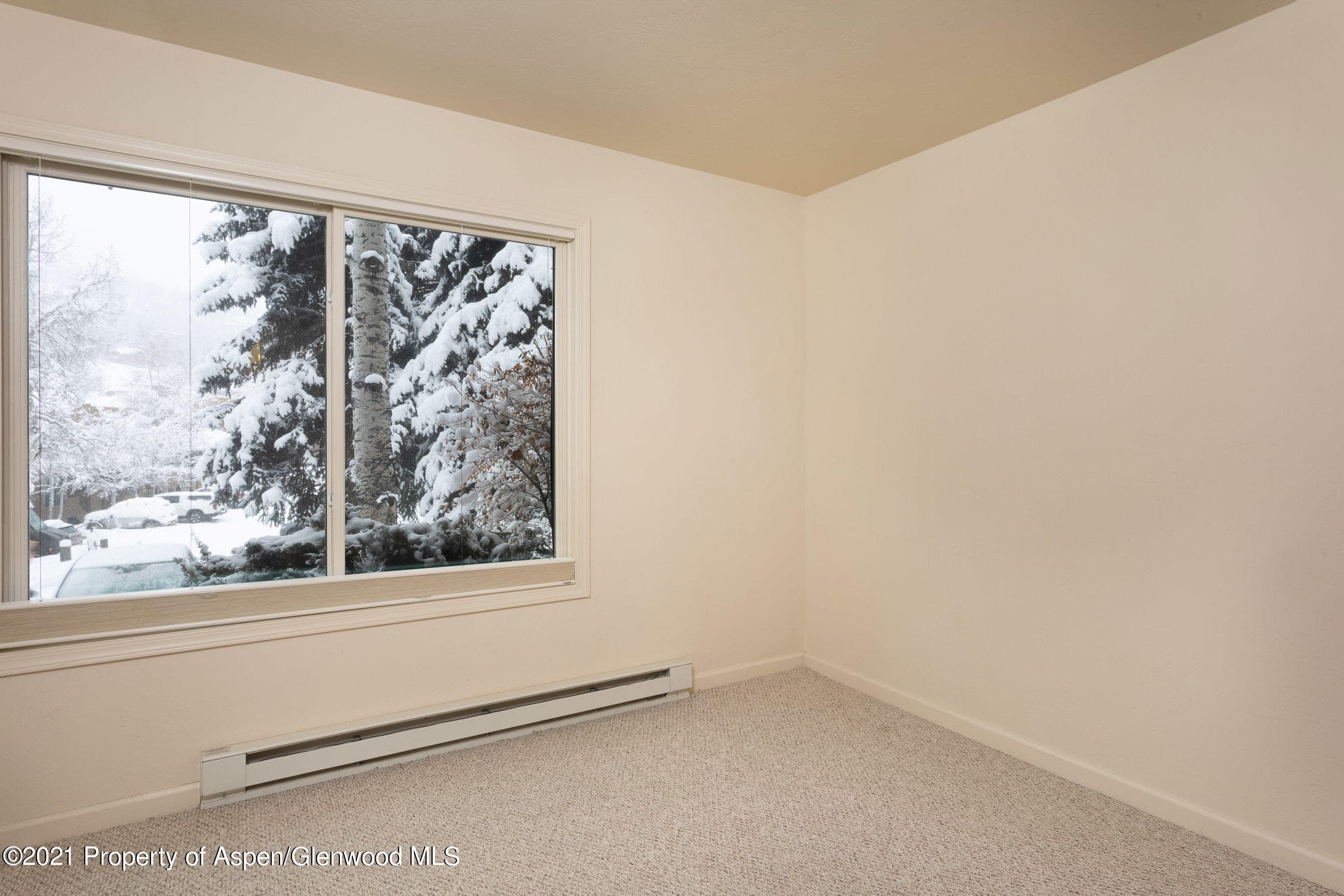 35 Lower Woodbridge Road 155, Snowmass Village, CO 81615 - Photo 12