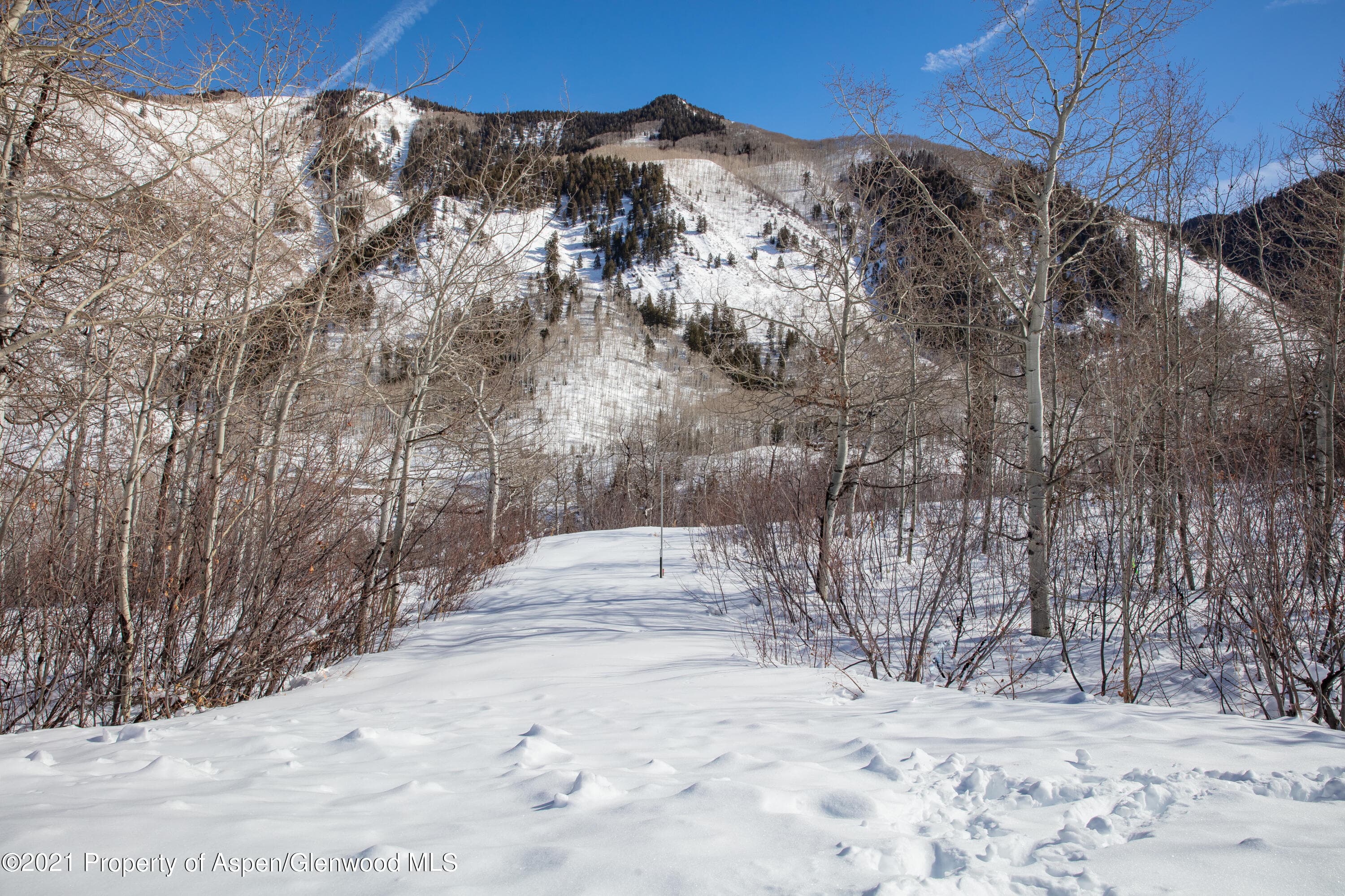 TBD N Hayden Road, Aspen, CO 81611 - Photo 11