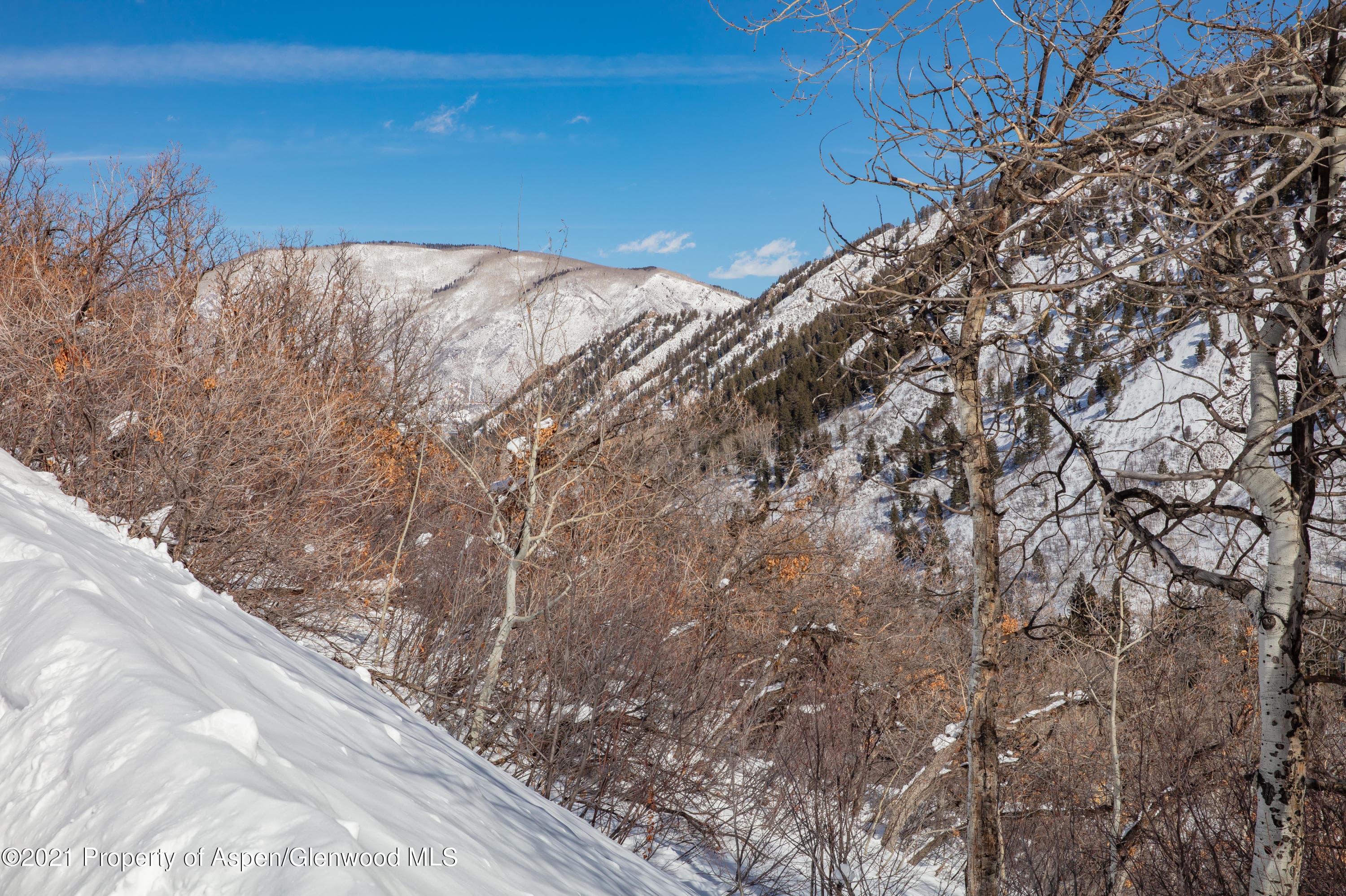 TBD N Hayden Road, Aspen, CO 81611 - Photo 21