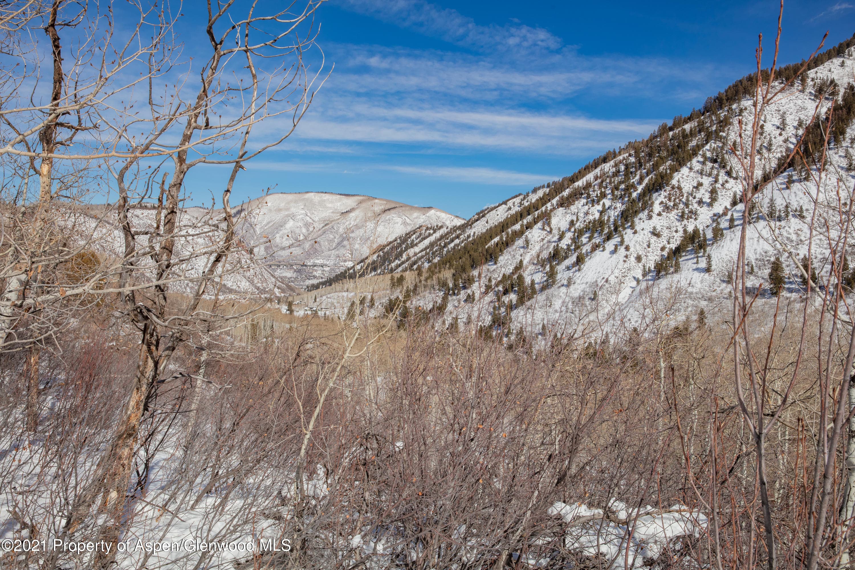 TBD N Hayden Road, Aspen, CO 81611 - Photo 22
