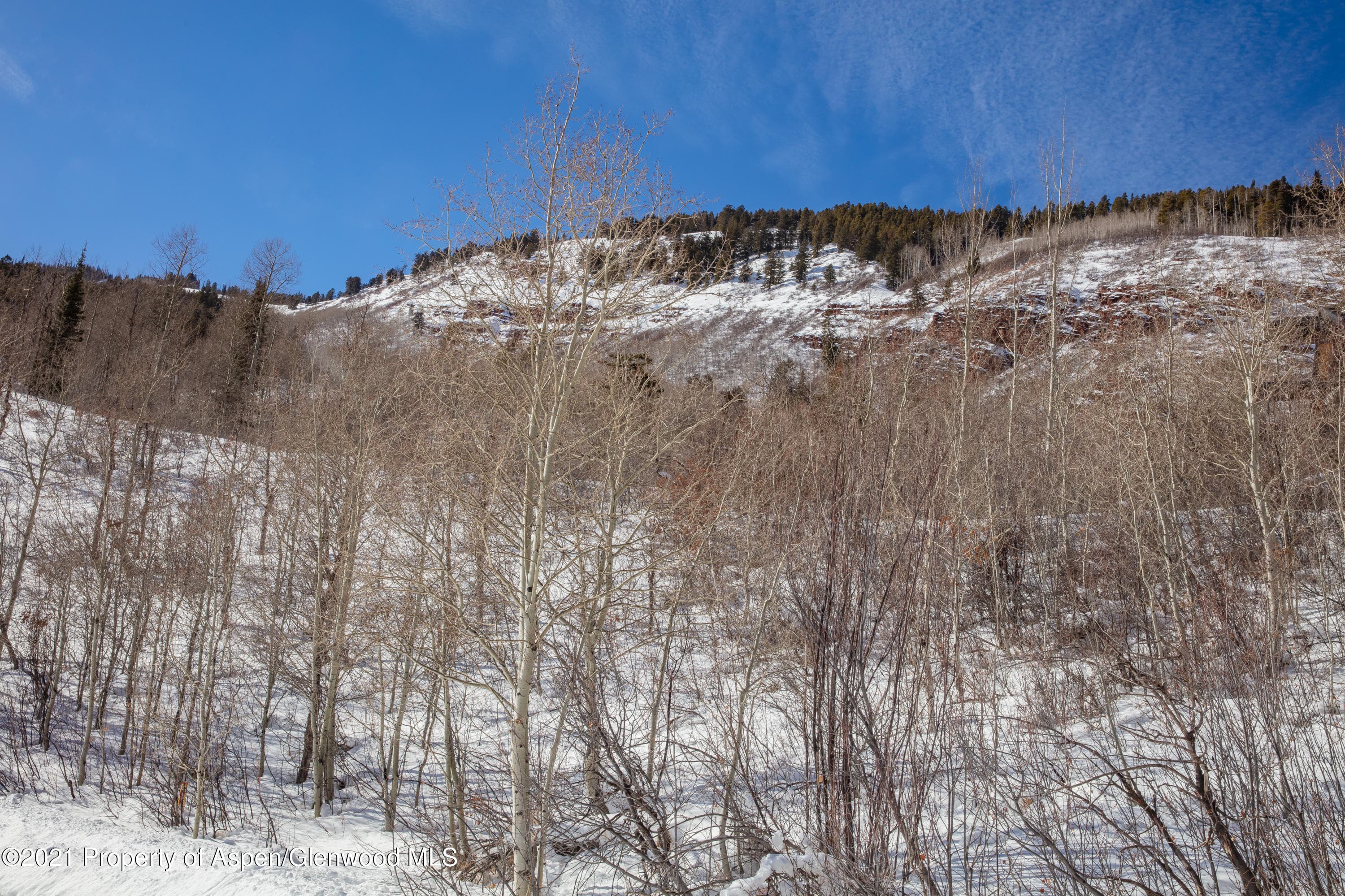 TBD N Hayden Road, Aspen, CO 81611 - Photo 25
