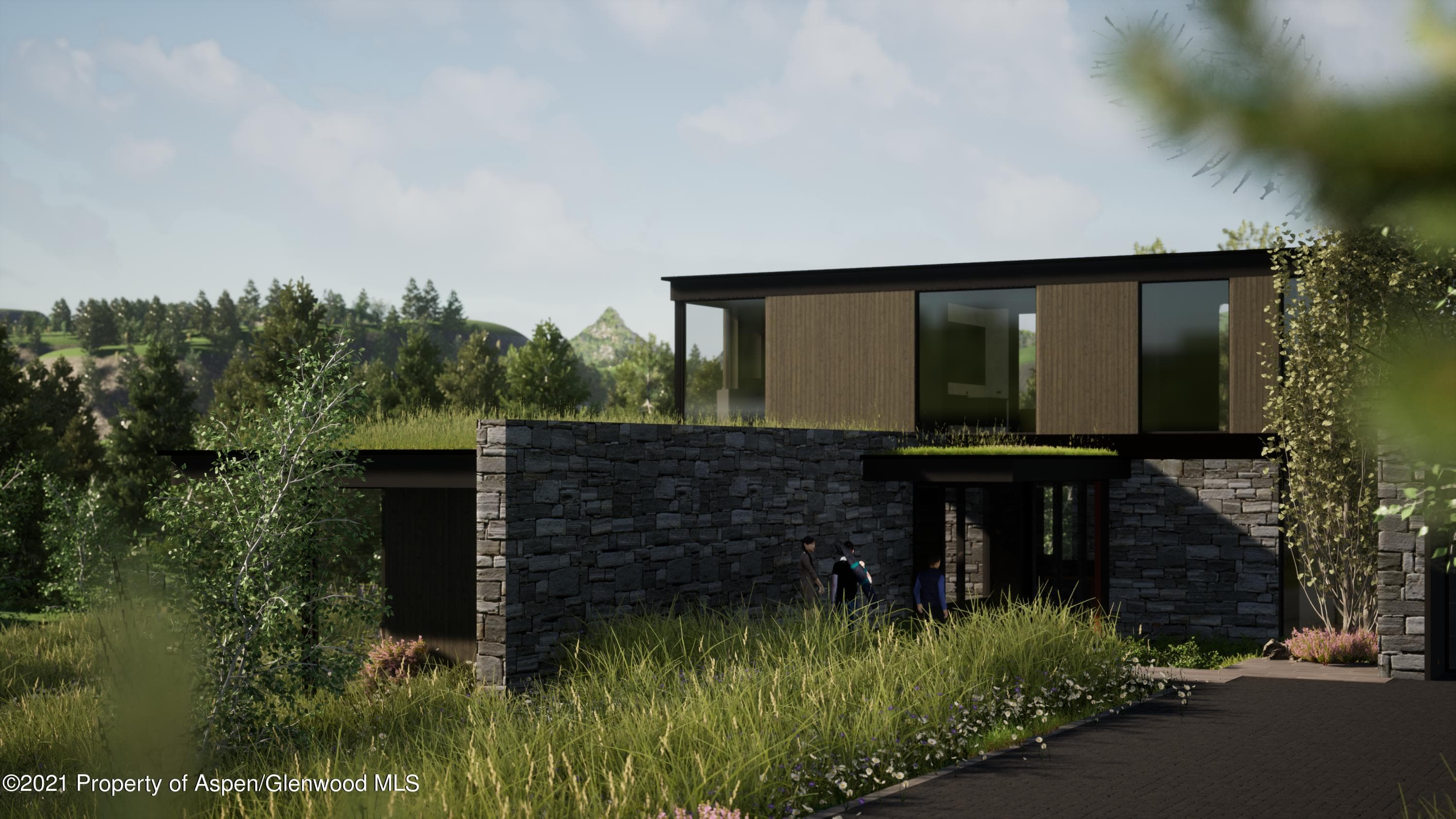 TBD N Hayden Road, Aspen, CO 81611 - Photo 12