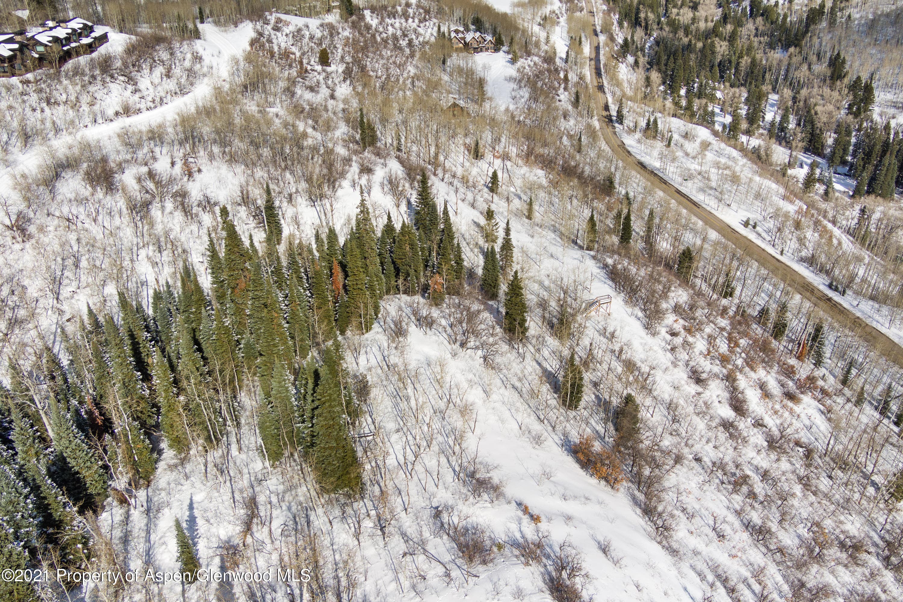 TBD N Hayden Road, Aspen, CO 81611 - Photo 33