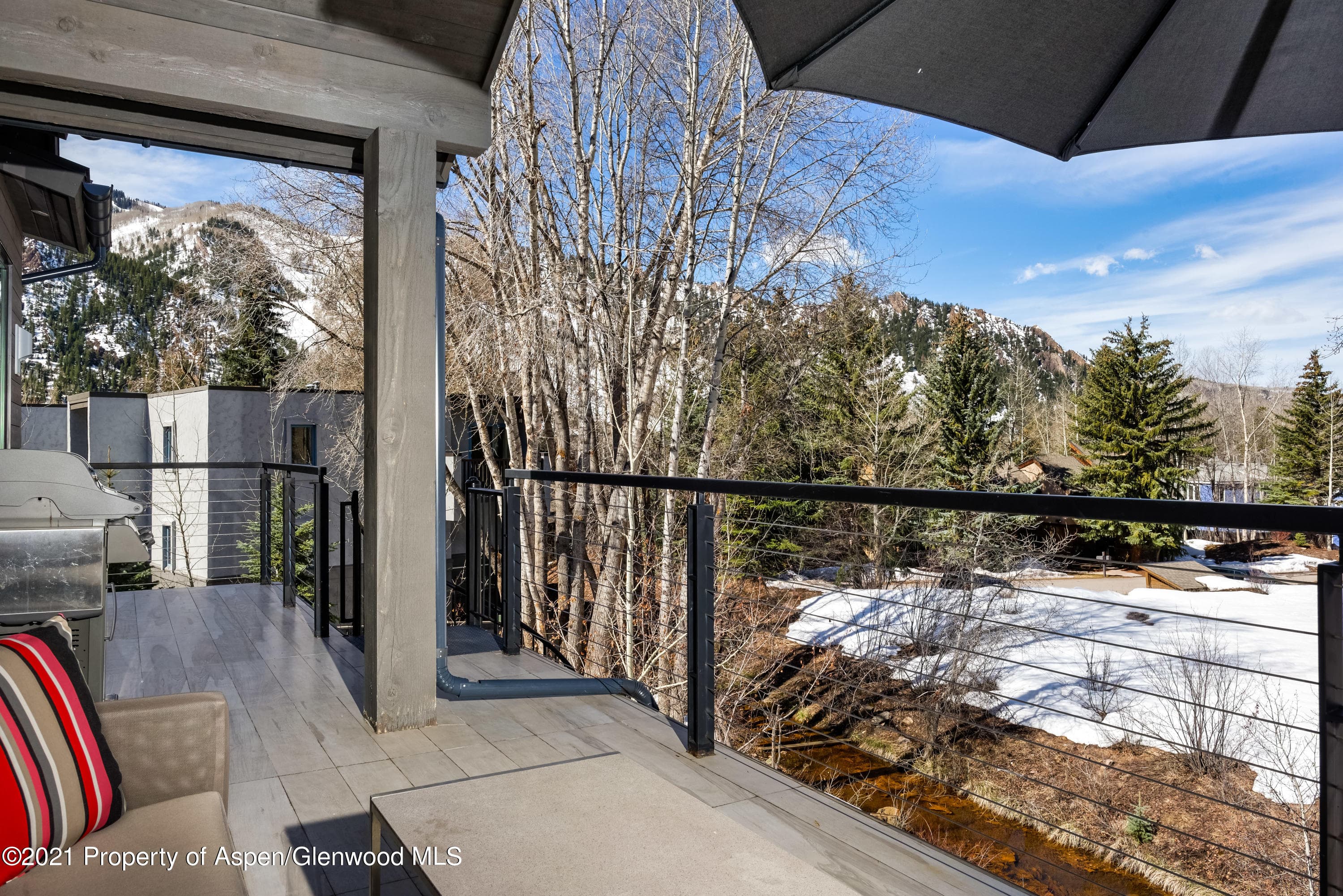 505 Park Circle, Aspen, CO 81611 - Photo 25
