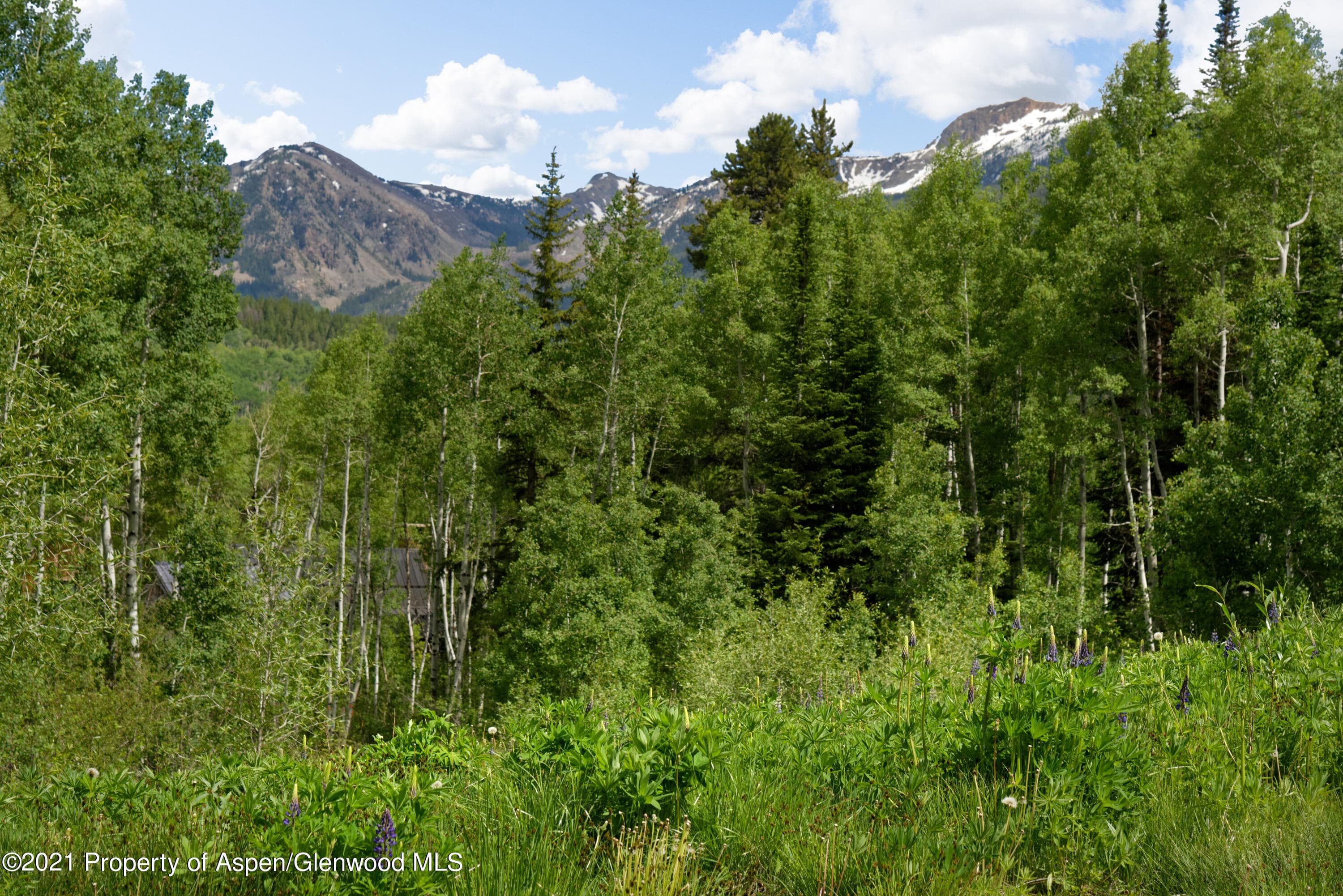 90 Popcorn Lane, Aspen, CO 81611 - Photo 3