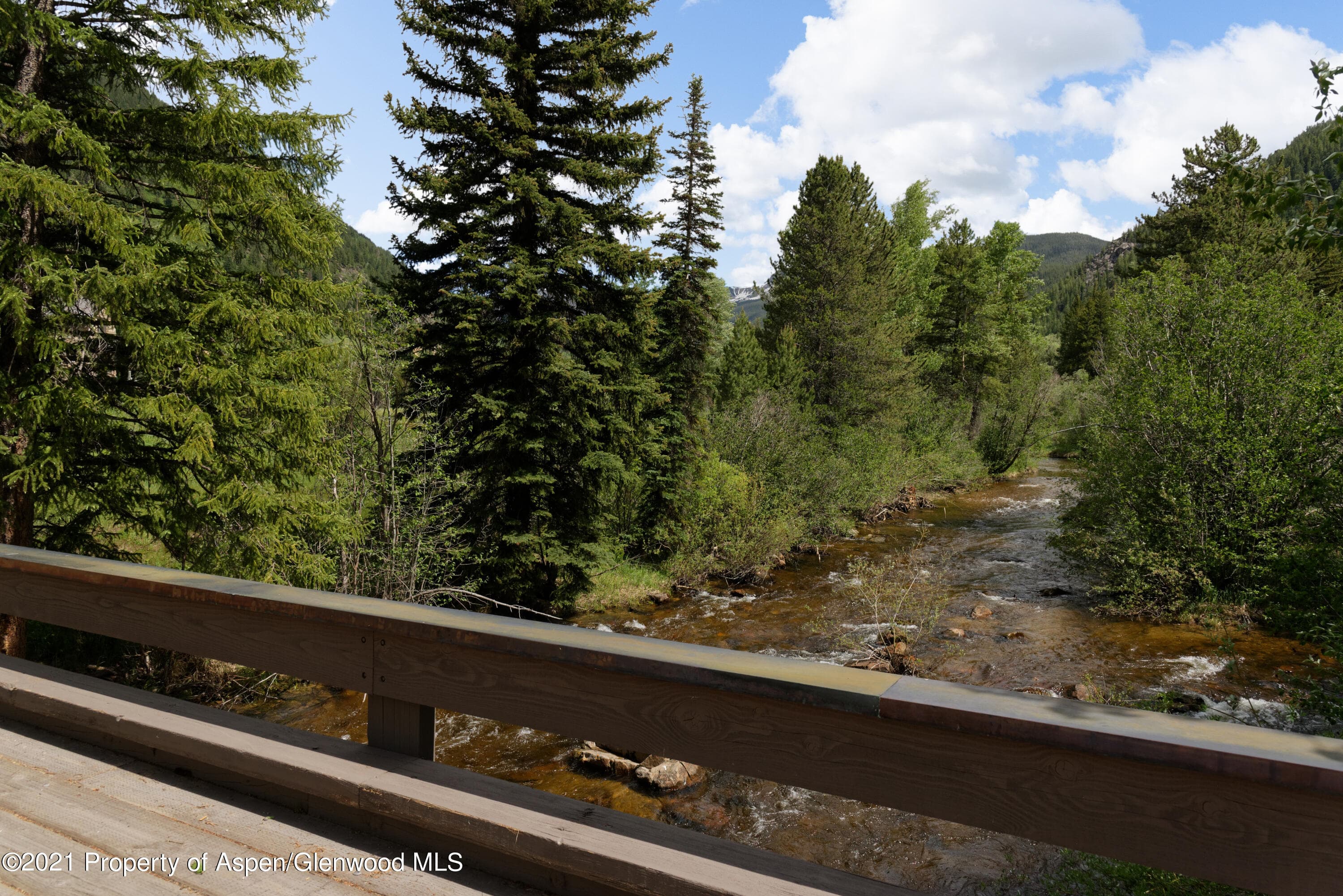 90 Popcorn Lane, Aspen, CO 81611 - Photo 6