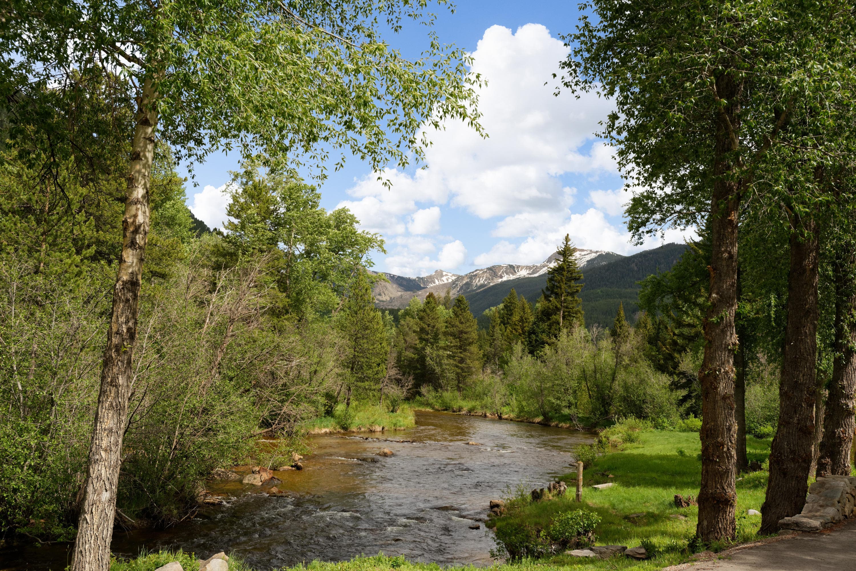 90 Popcorn Lane, Aspen, CO 81611 - Photo 8