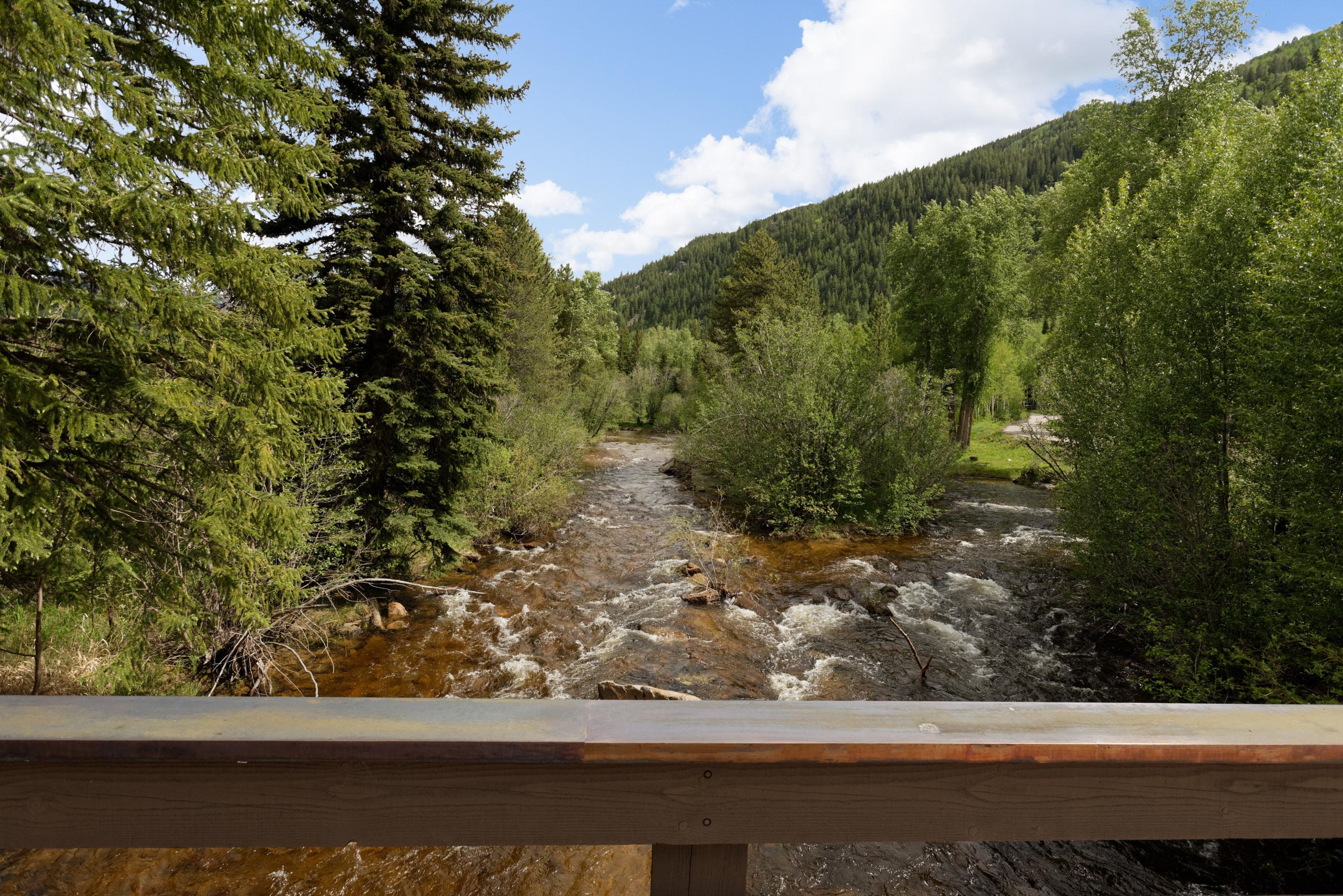 90 Popcorn Lane, Aspen, CO 81611 - Photo 9