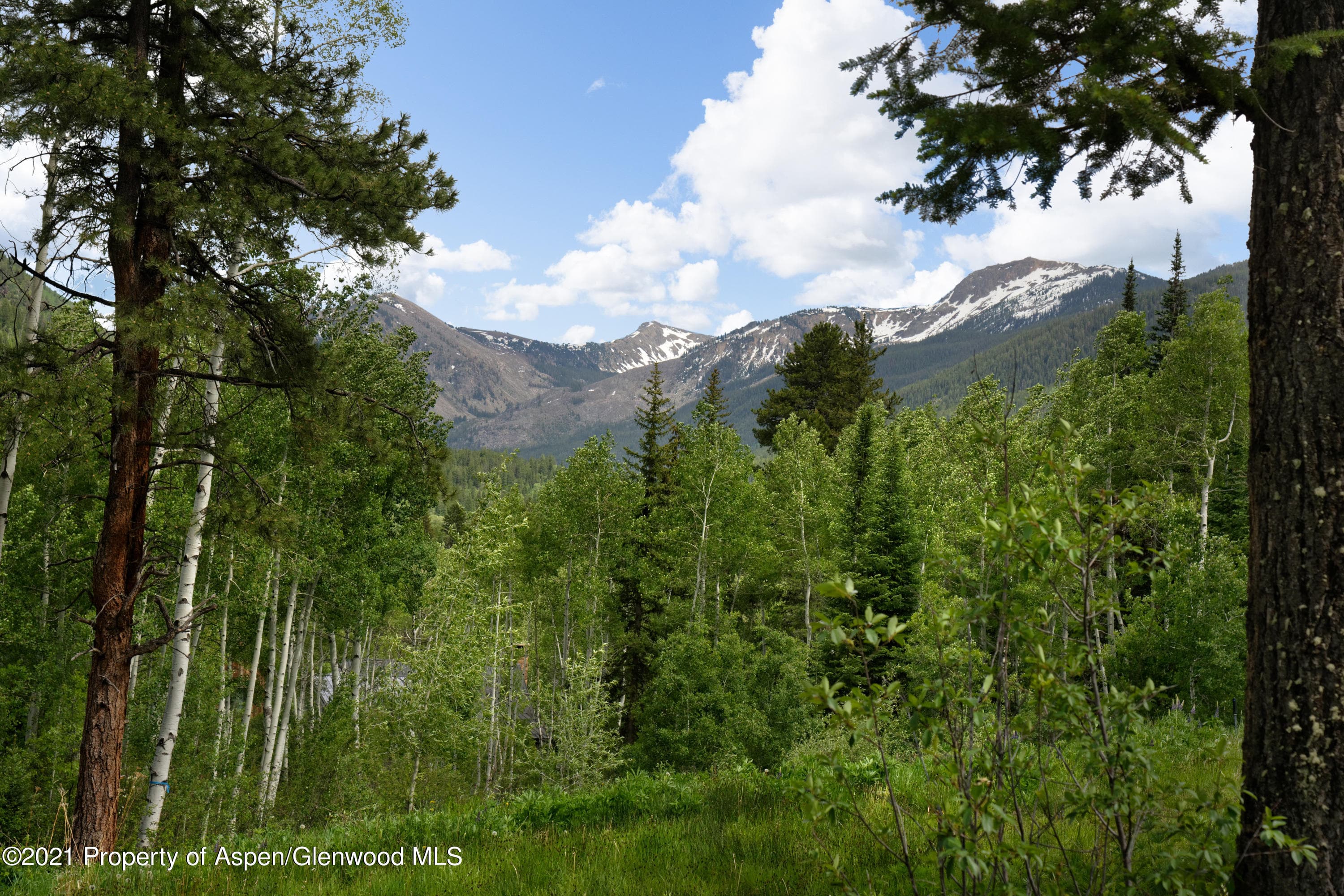 90 Popcorn Lane, Aspen, CO 81611 - Photo 12