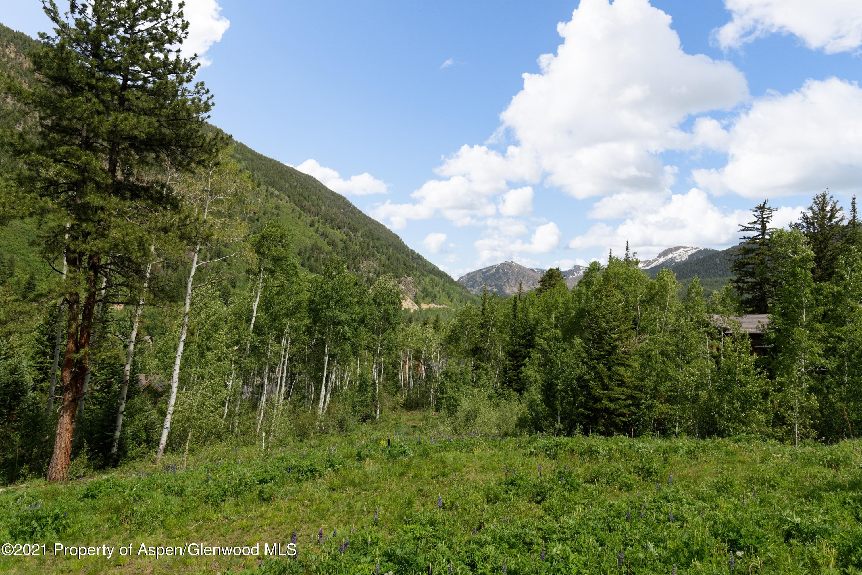 90 Popcorn Lane, Aspen, CO 81611 - Photo 13