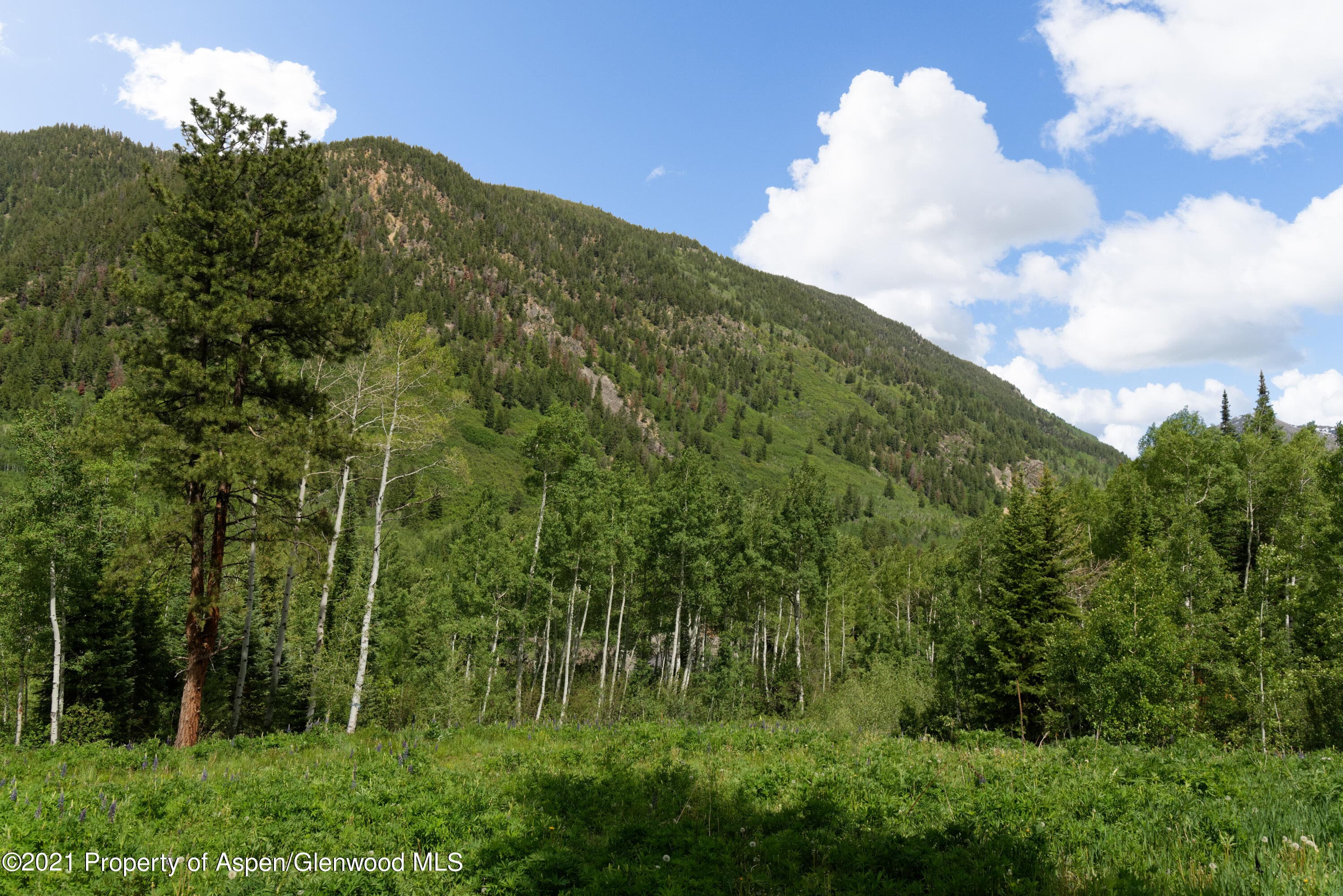 90 Popcorn Lane, Aspen, CO 81611 - Photo 14