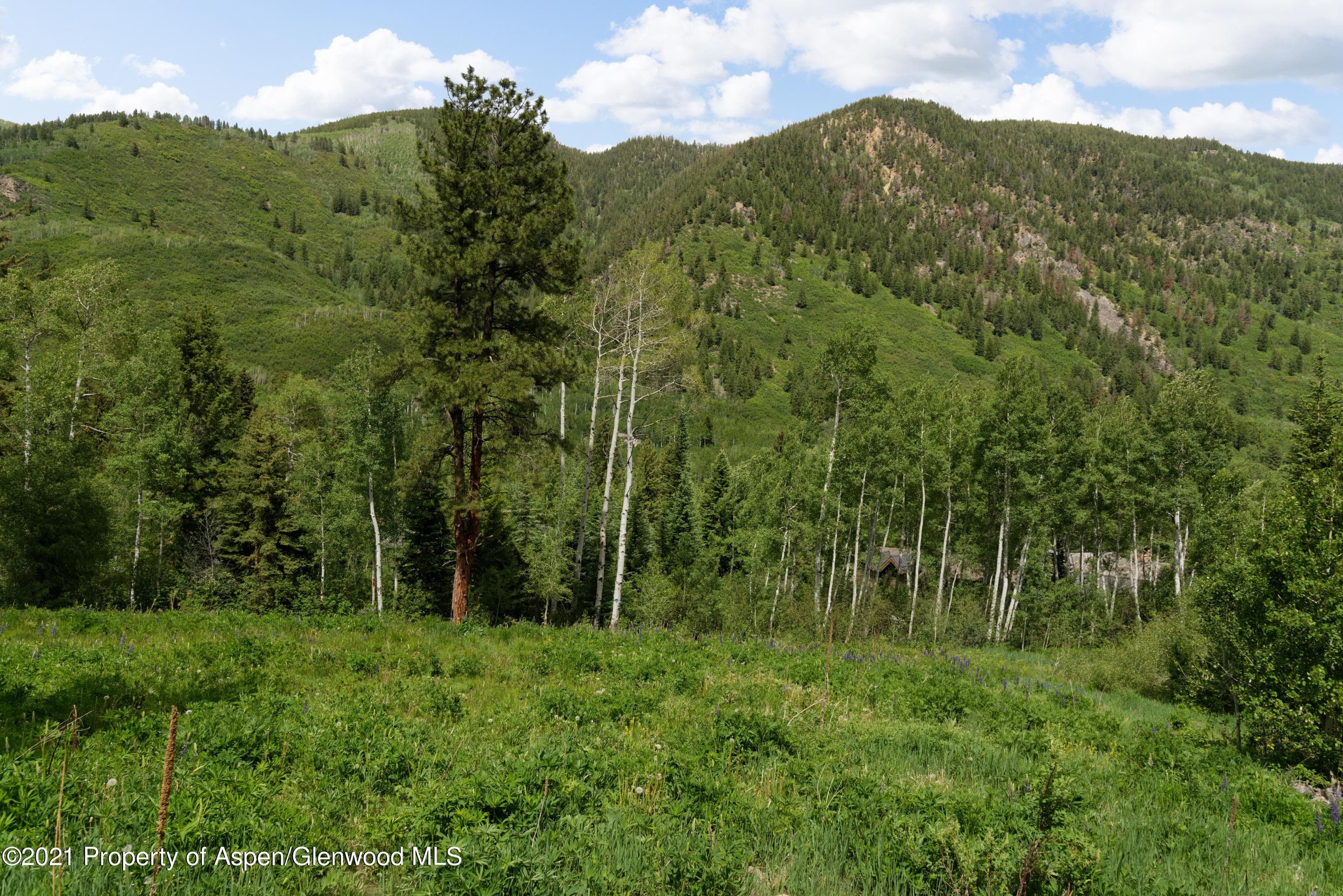 90 Popcorn Lane, Aspen, CO 81611 - Photo 15