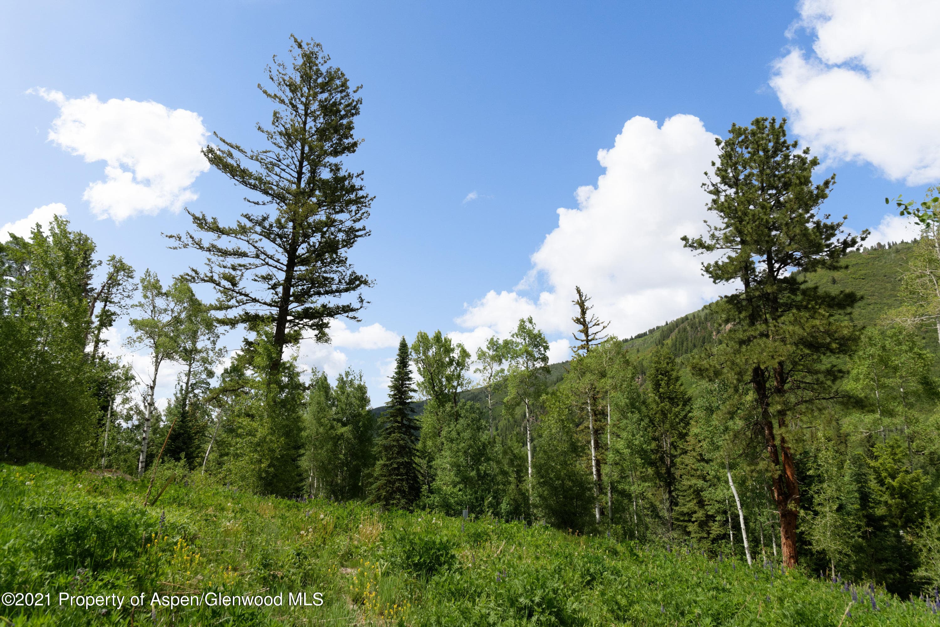 90 Popcorn Lane, Aspen, CO 81611 - Photo 16