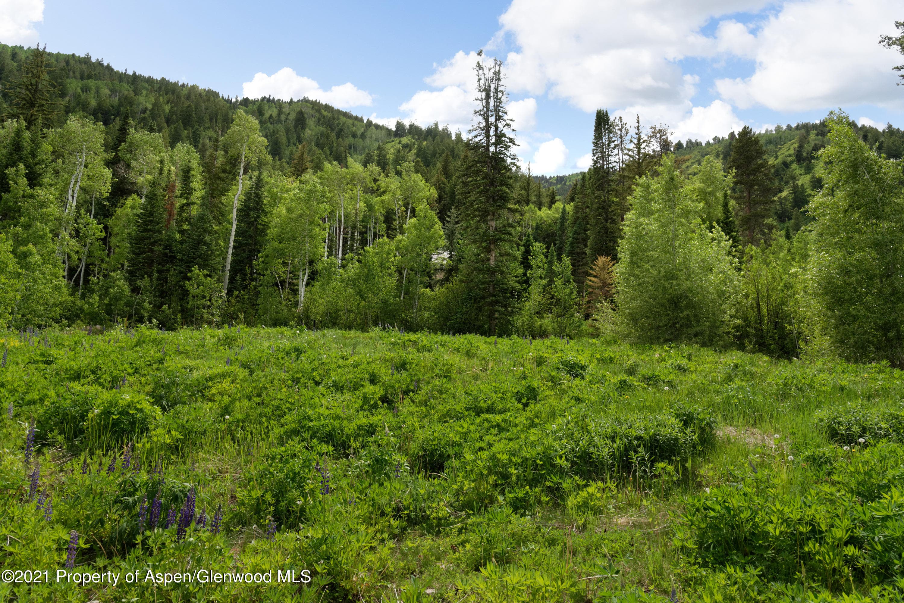 90 Popcorn Lane, Aspen, CO 81611 - Photo 18