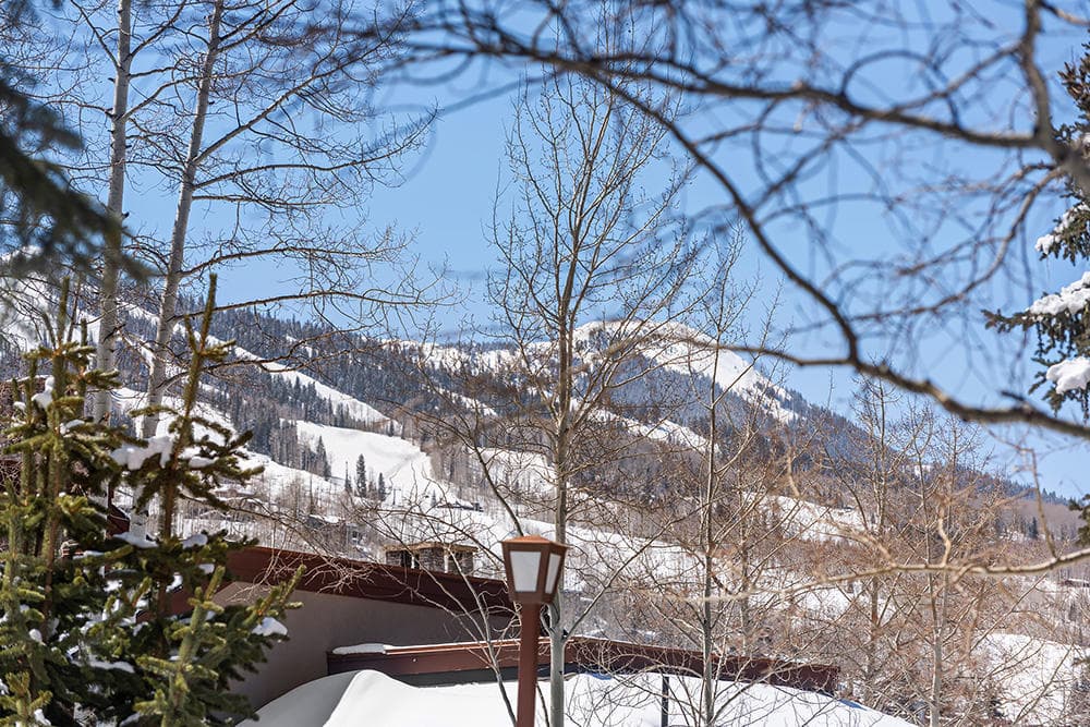 800 Ridge Road #13, Snowmass Village, CO 81615 - Photo 17
