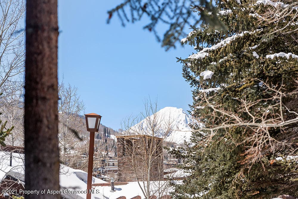 800 Ridge Road #13, Snowmass Village, CO 81615 - Photo 18