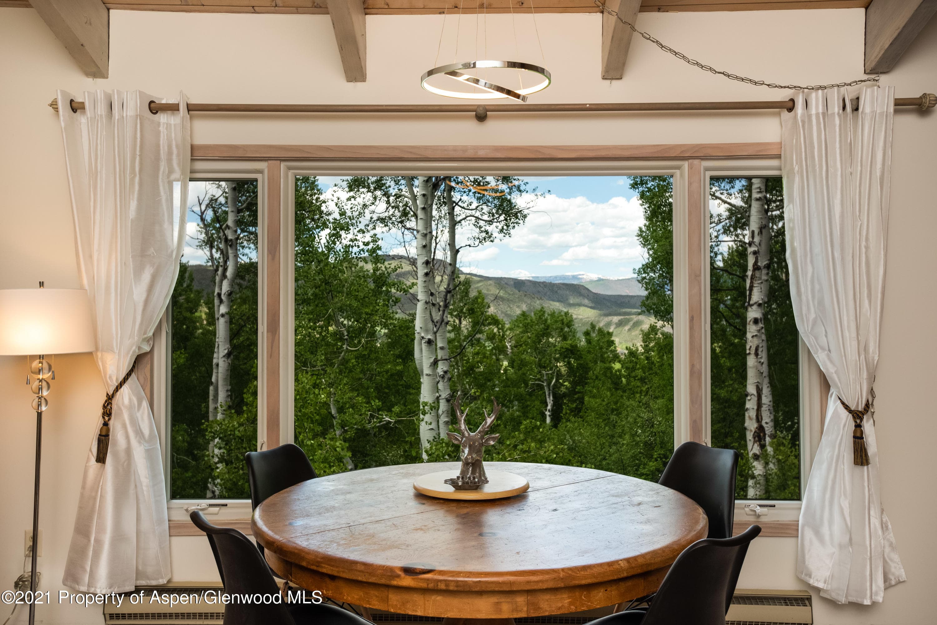 117 North Ridge Lane B, Snowmass Village, CO 81615 - Photo 11