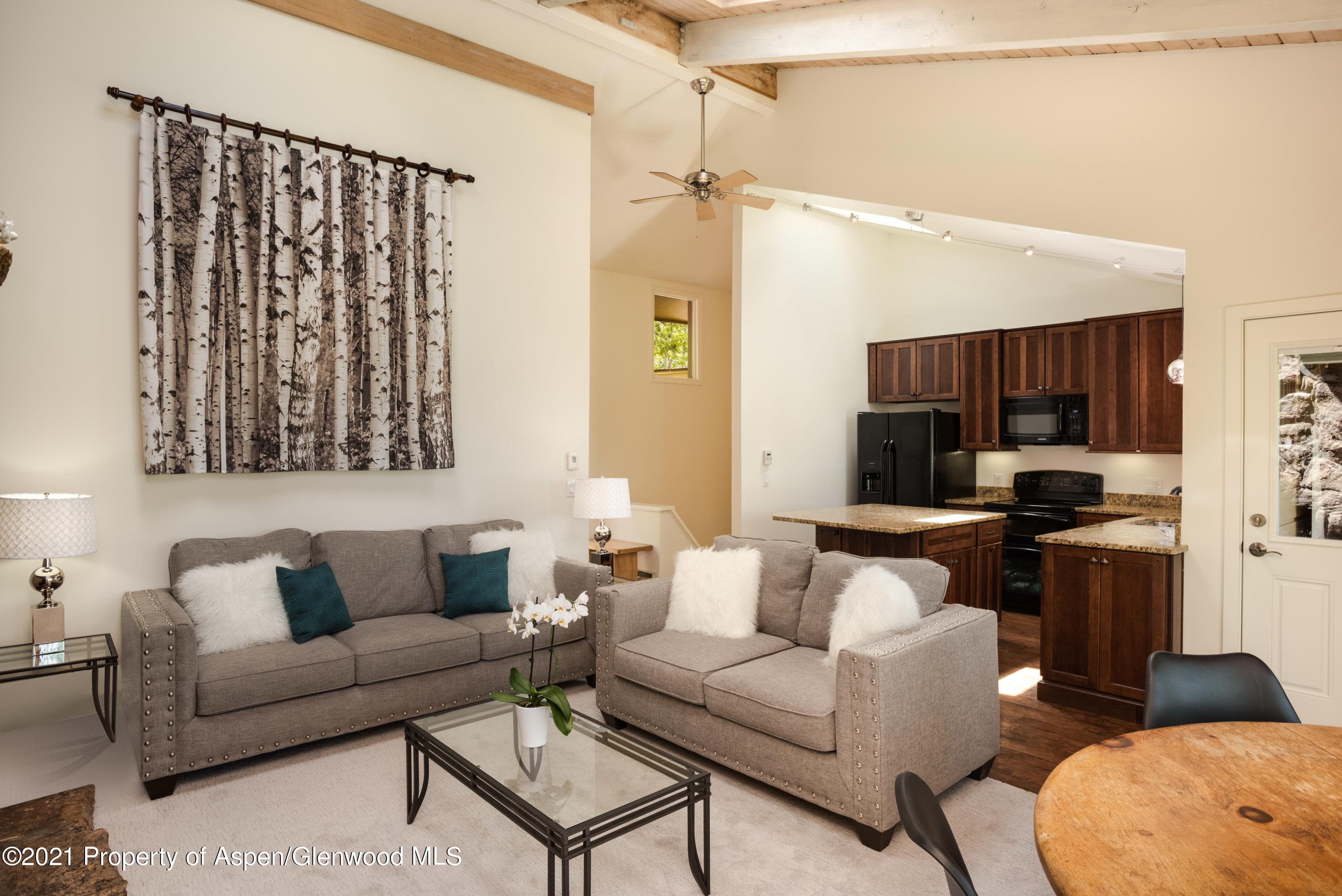 117 North Ridge Lane B, Snowmass Village, CO 81615 - Photo 15