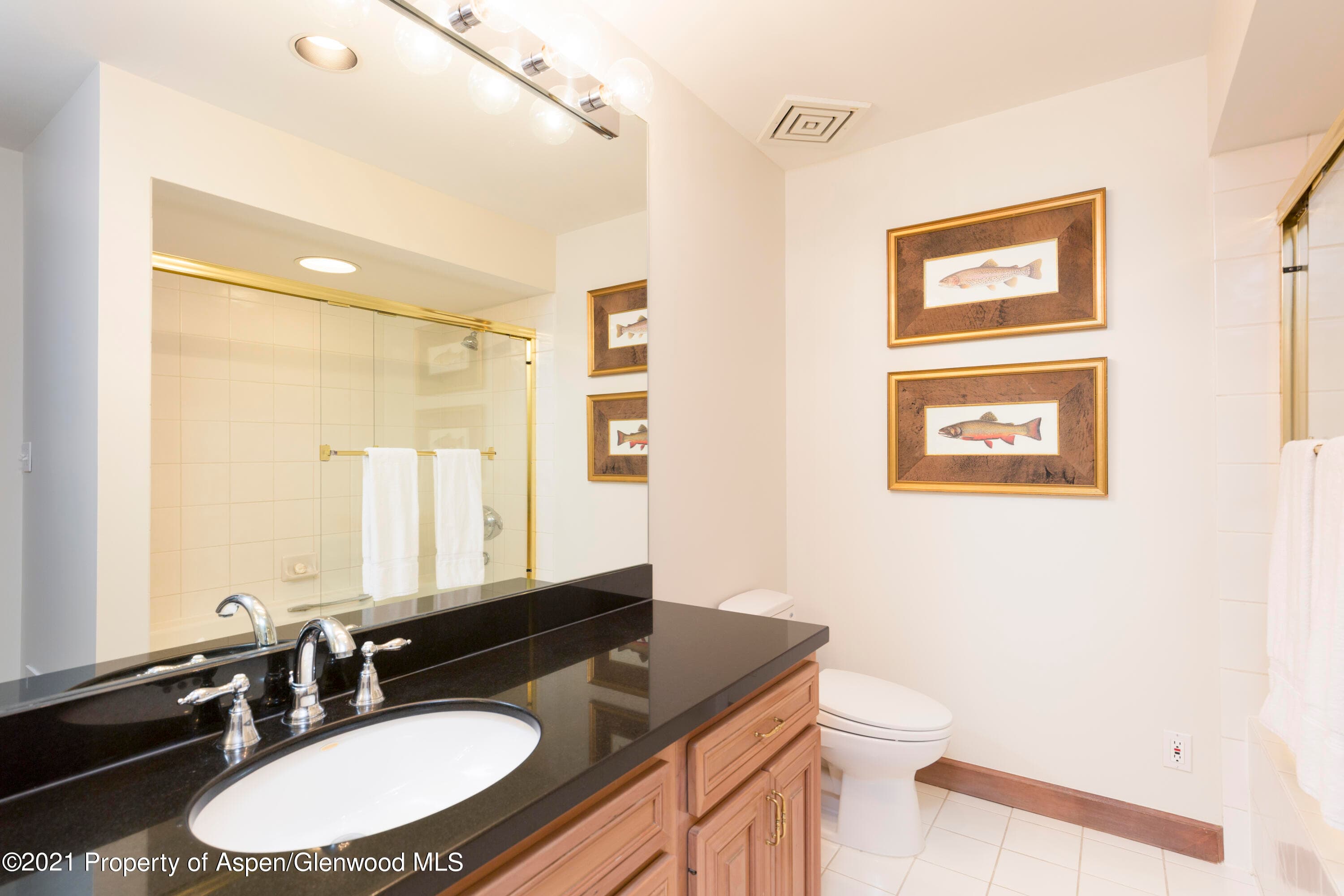 777 UTE Avenue #5, Aspen, CO 81611 - Photo 7