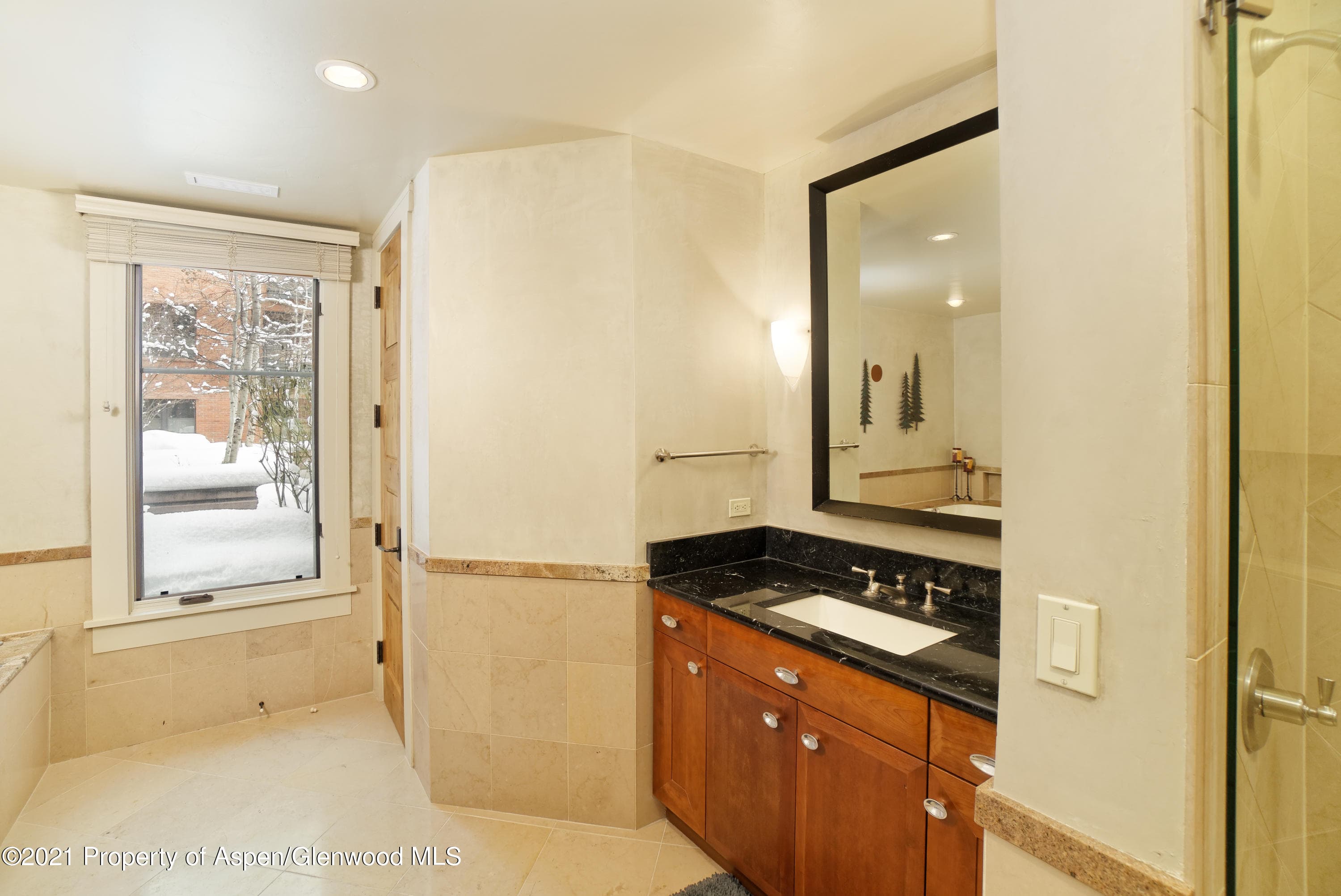 101 N Spring Street 102, Aspen, CO 81611 - Photo 7