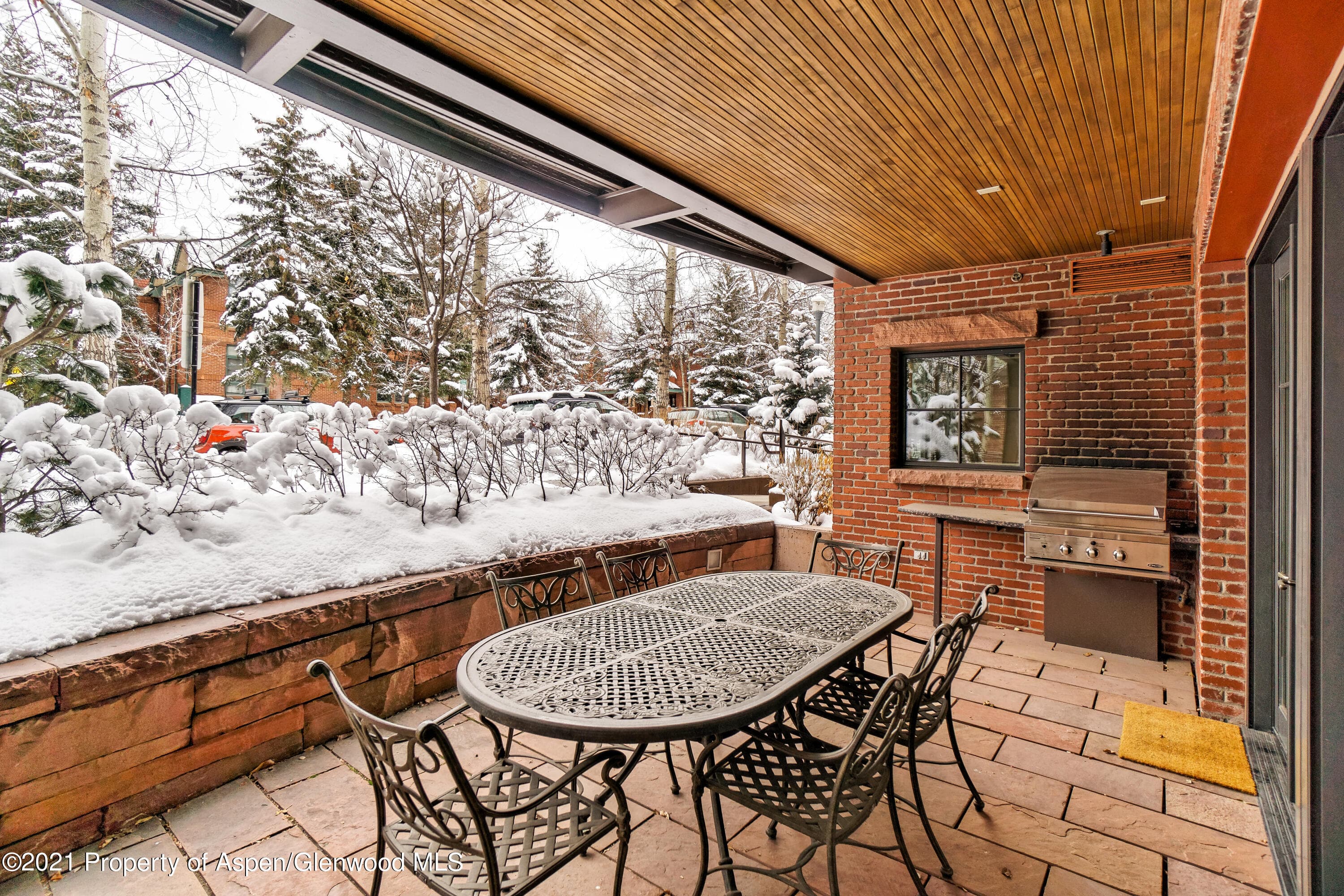 101 N Spring Street 102, Aspen, CO 81611 - Photo 17