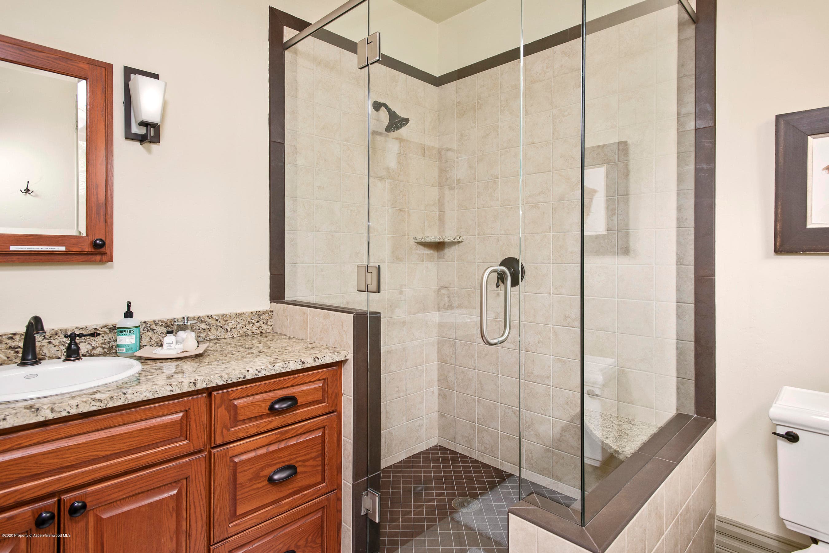 320 W Main Street, Aspen, CO 81611 - Photo 12