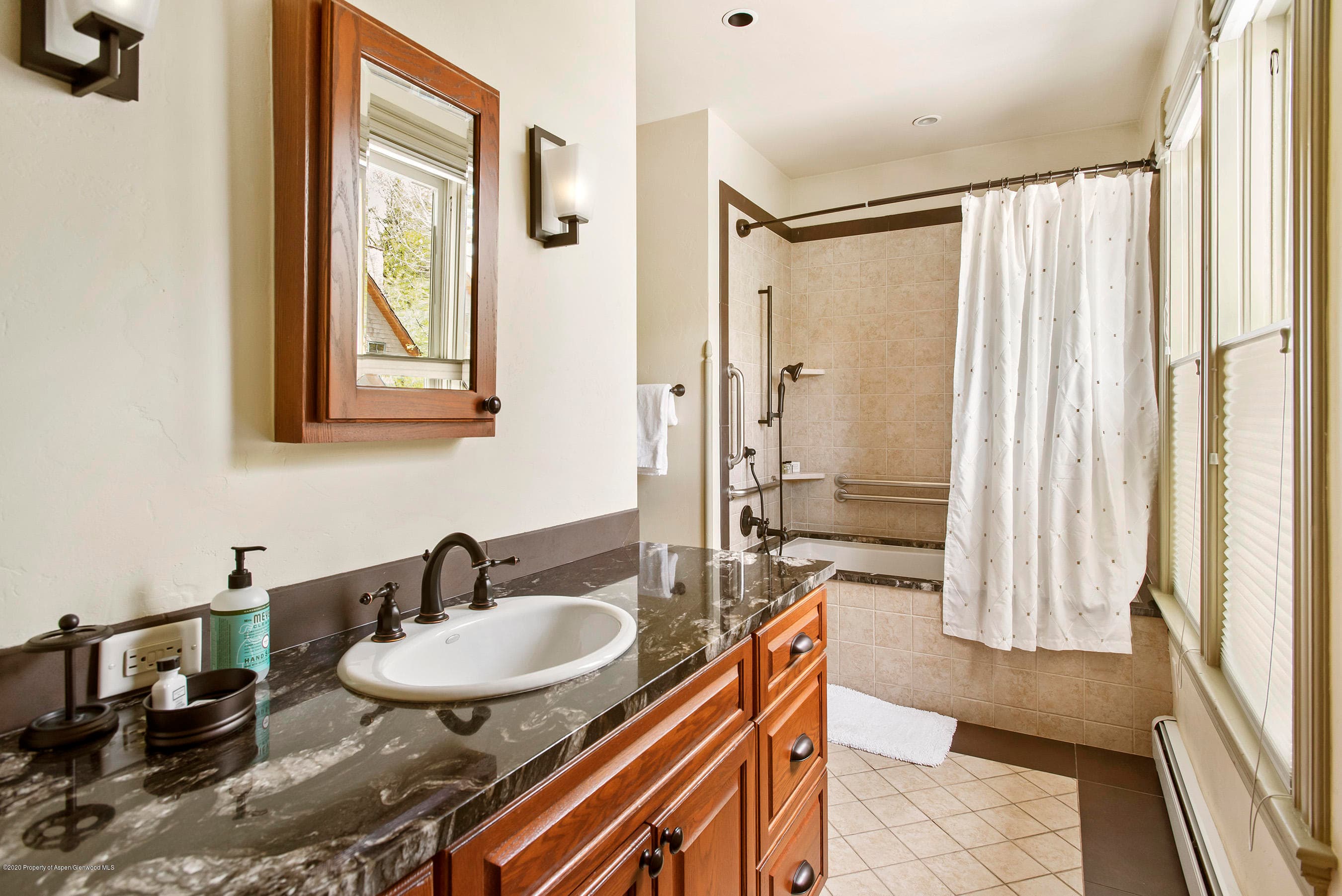 320 W Main Street, Aspen, CO 81611 - Photo 14
