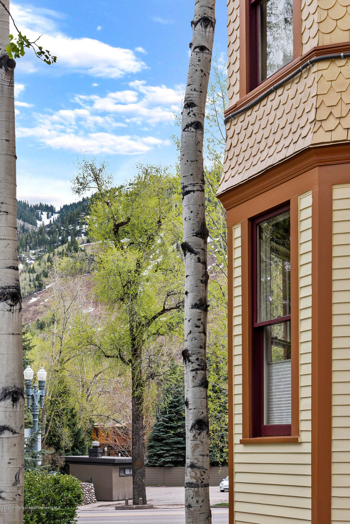 320 W Main Street, Aspen, CO 81611 - Photo 31