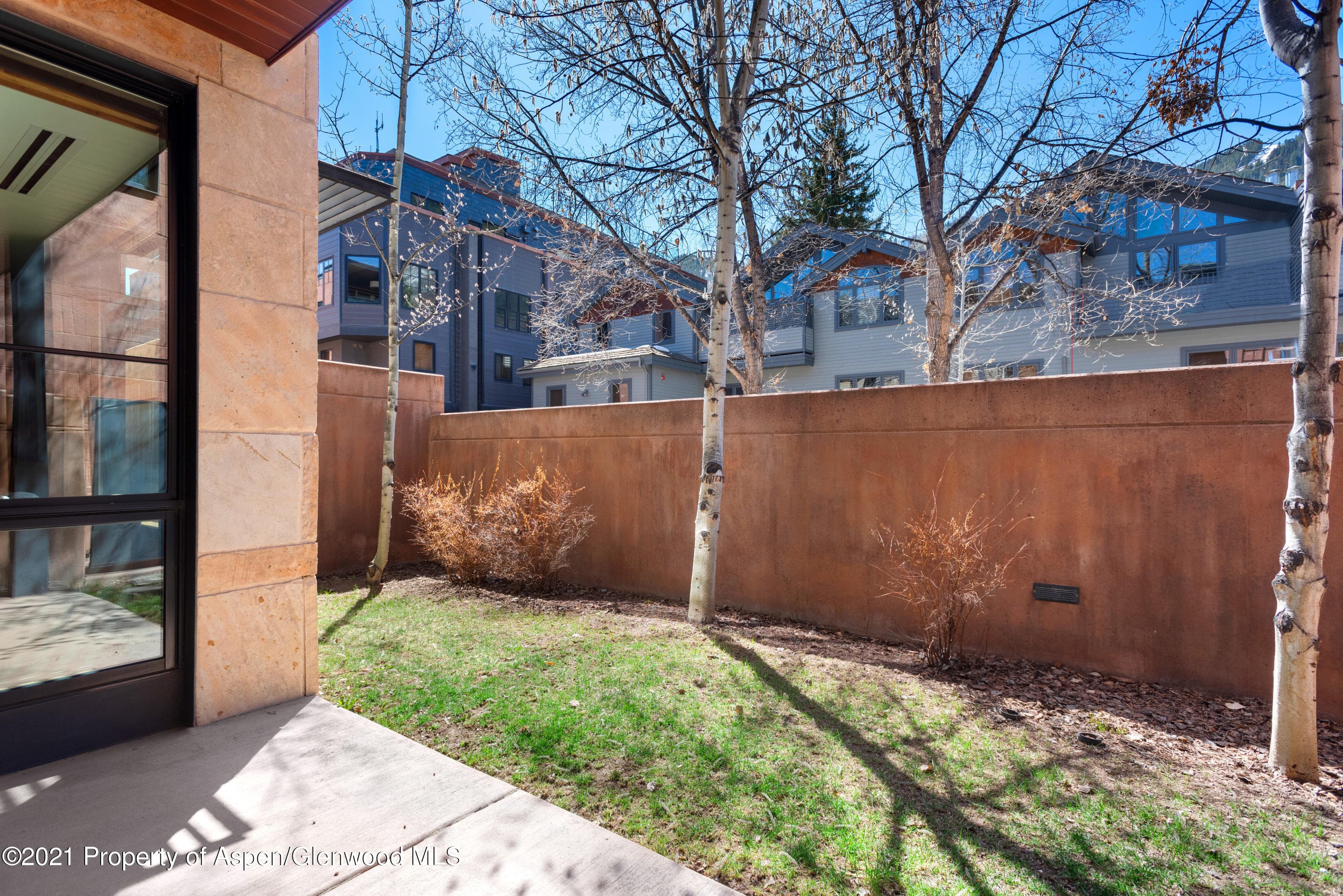 233 E Cooper Avenue 104, Aspen, CO 81611 - Photo 12