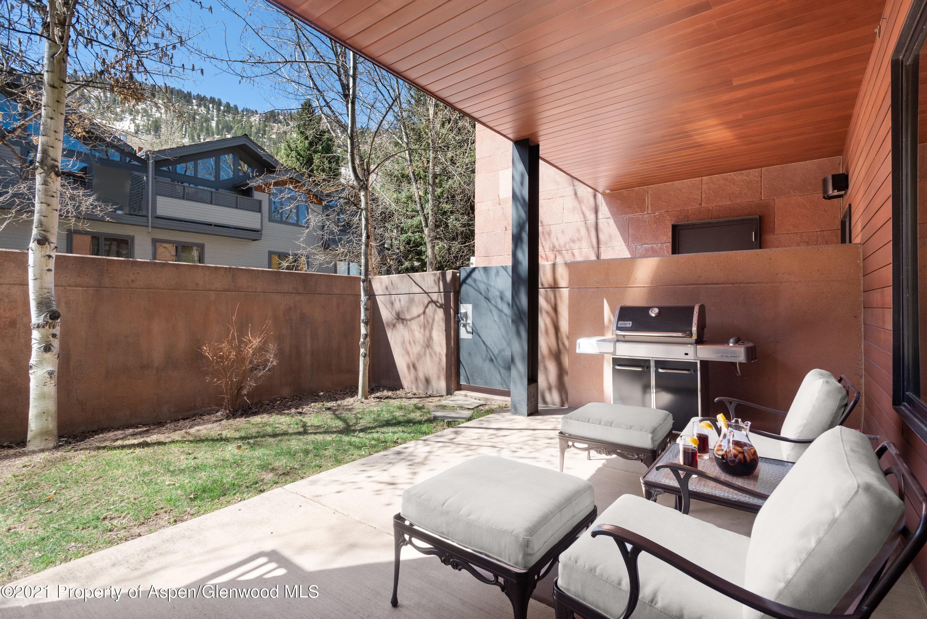 233 E Cooper Avenue 104, Aspen, CO 81611 - Photo 11