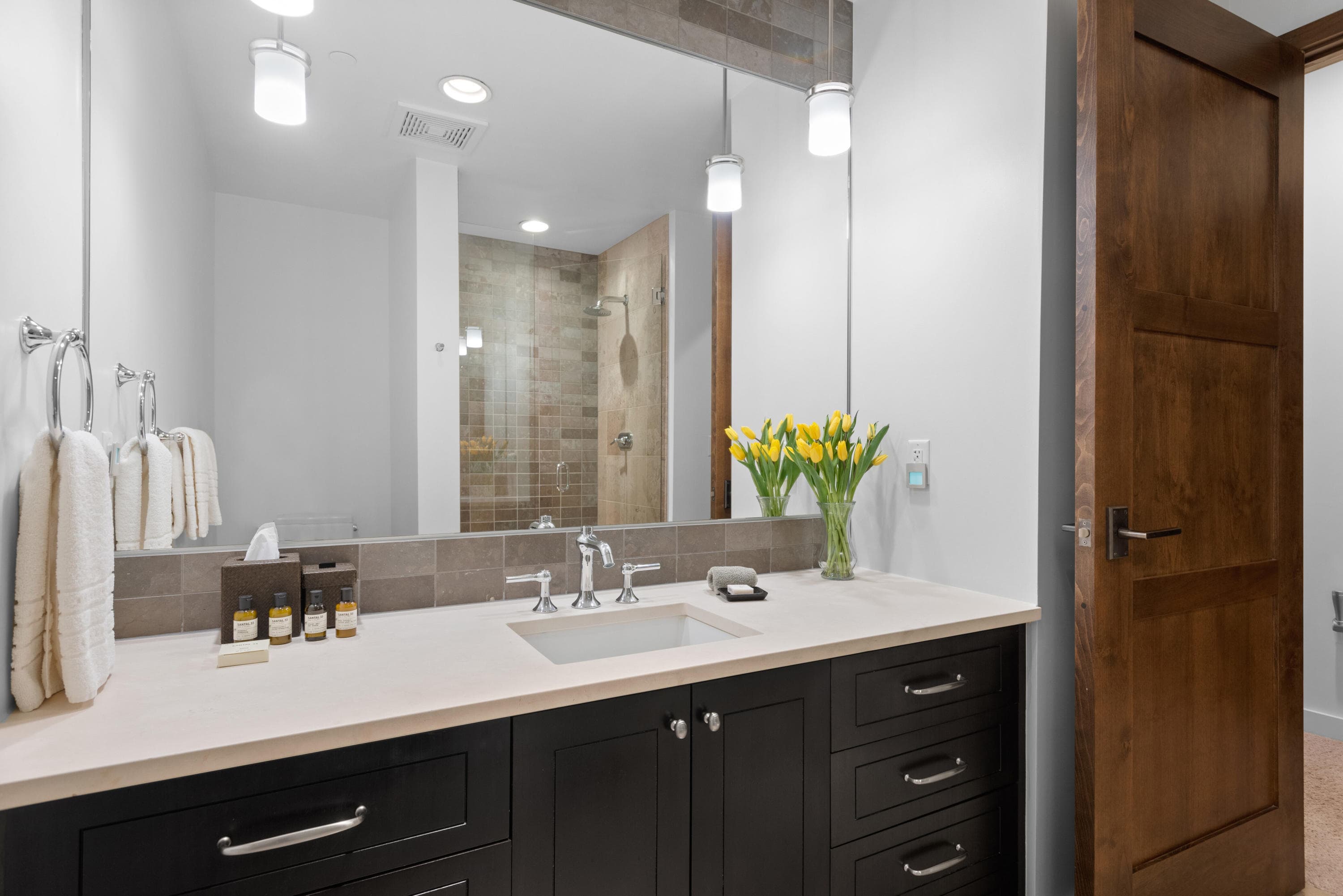233 E Cooper Avenue 104, Aspen, CO 81611 - Photo 27