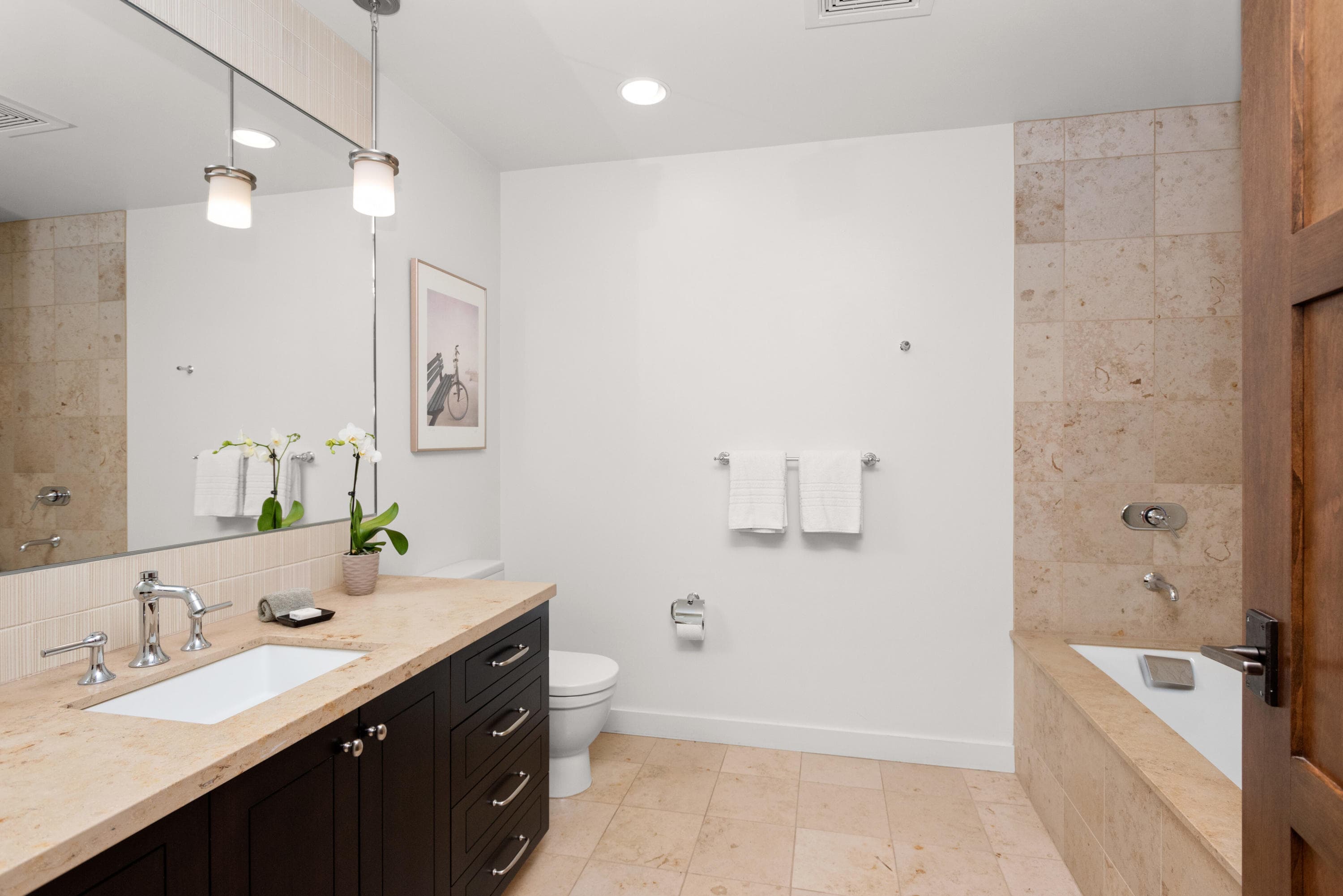 233 E Cooper Avenue 104, Aspen, CO 81611 - Photo 21