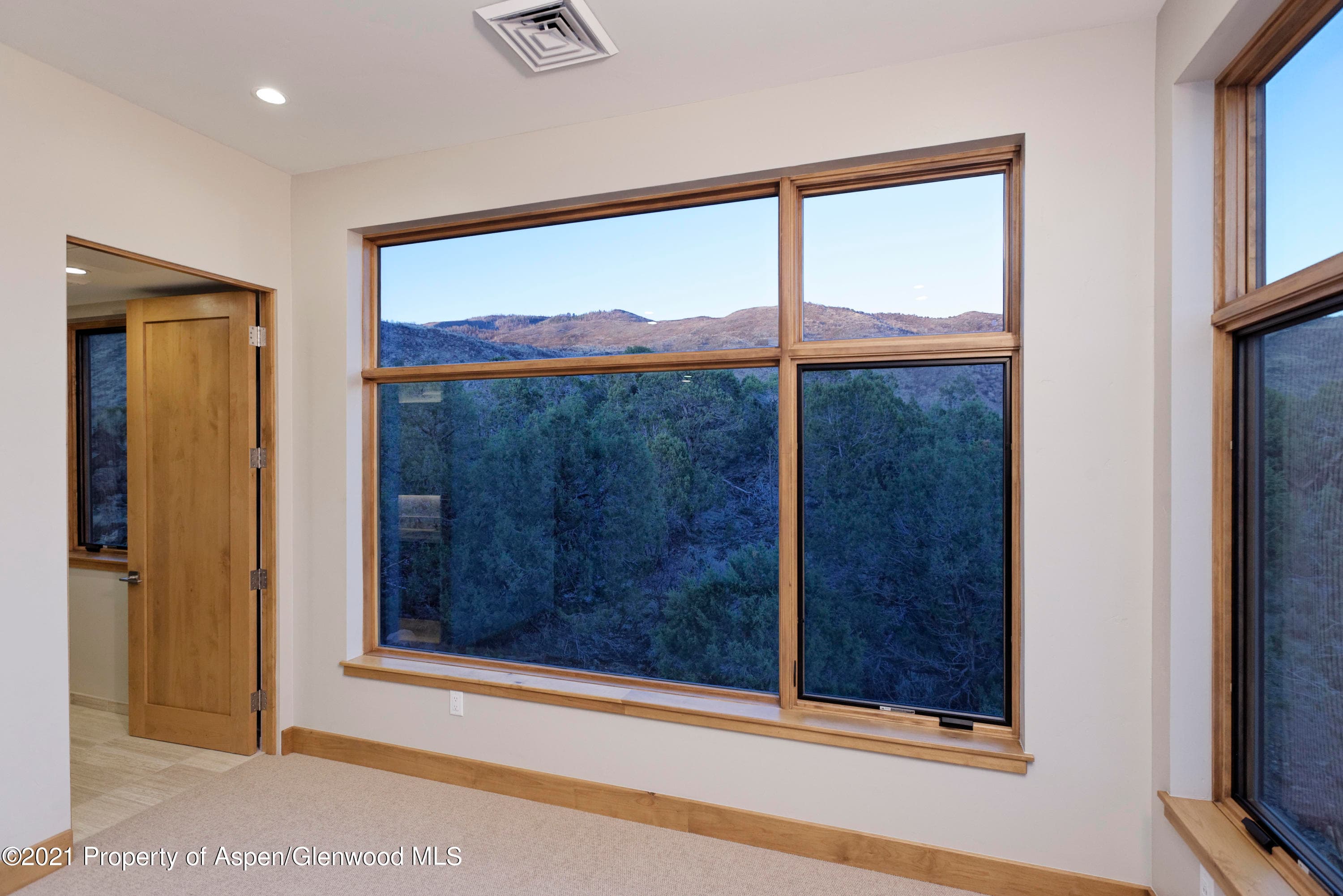 350 Overlook Ridge, Carbondale, CO 81623 - Photo 31