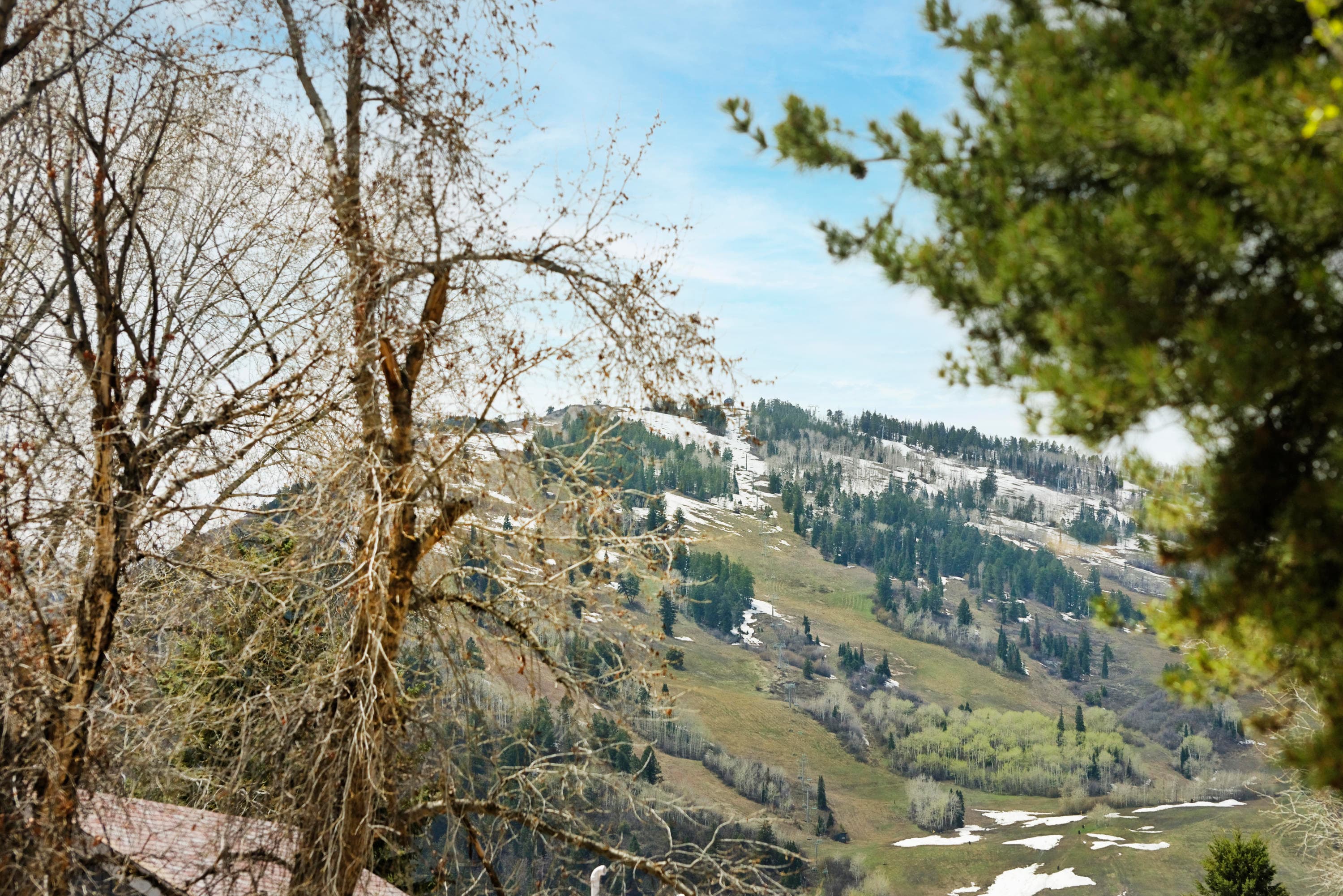 707 Castle Creek Drive 2, Aspen, CO 81611 - Photo 32