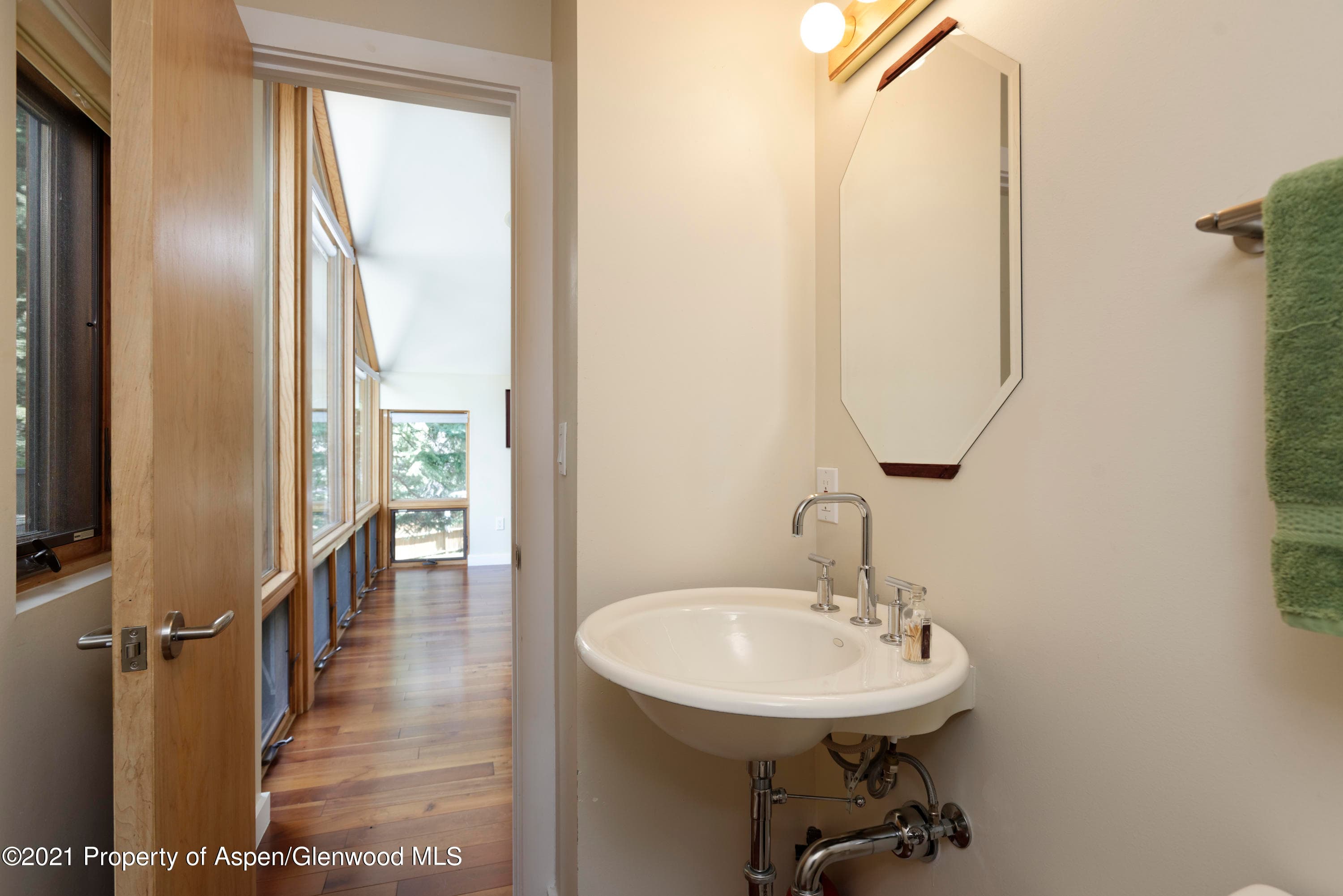 707 Castle Creek Drive 2, Aspen, CO 81611 - Photo 11